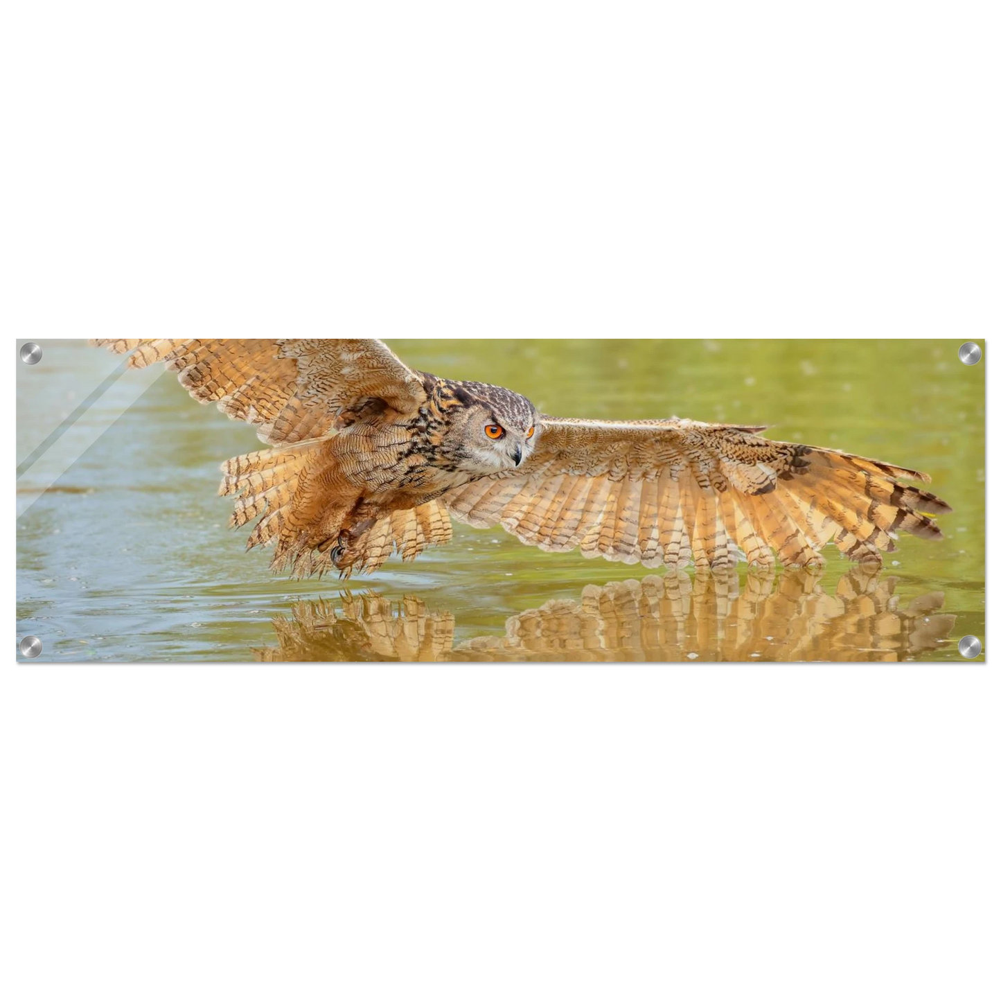 Wandbild majestaetischer uhu im jagdflug atemberaubende wildtierkunst in verschiedenen groessen