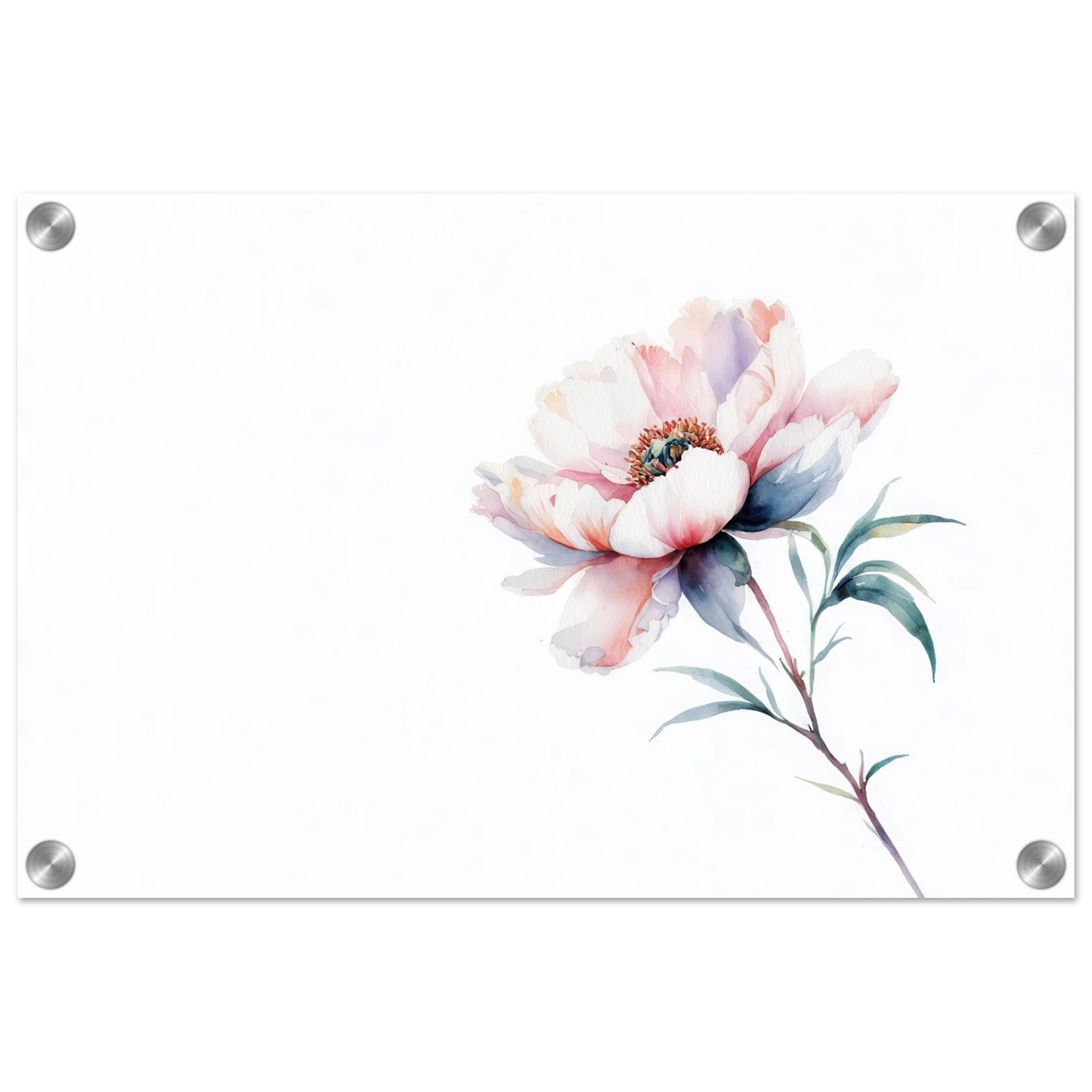 Wandbild zarte pfingstrose elegante aquarell kunst fuer ihr zuhause in wunschgroesse