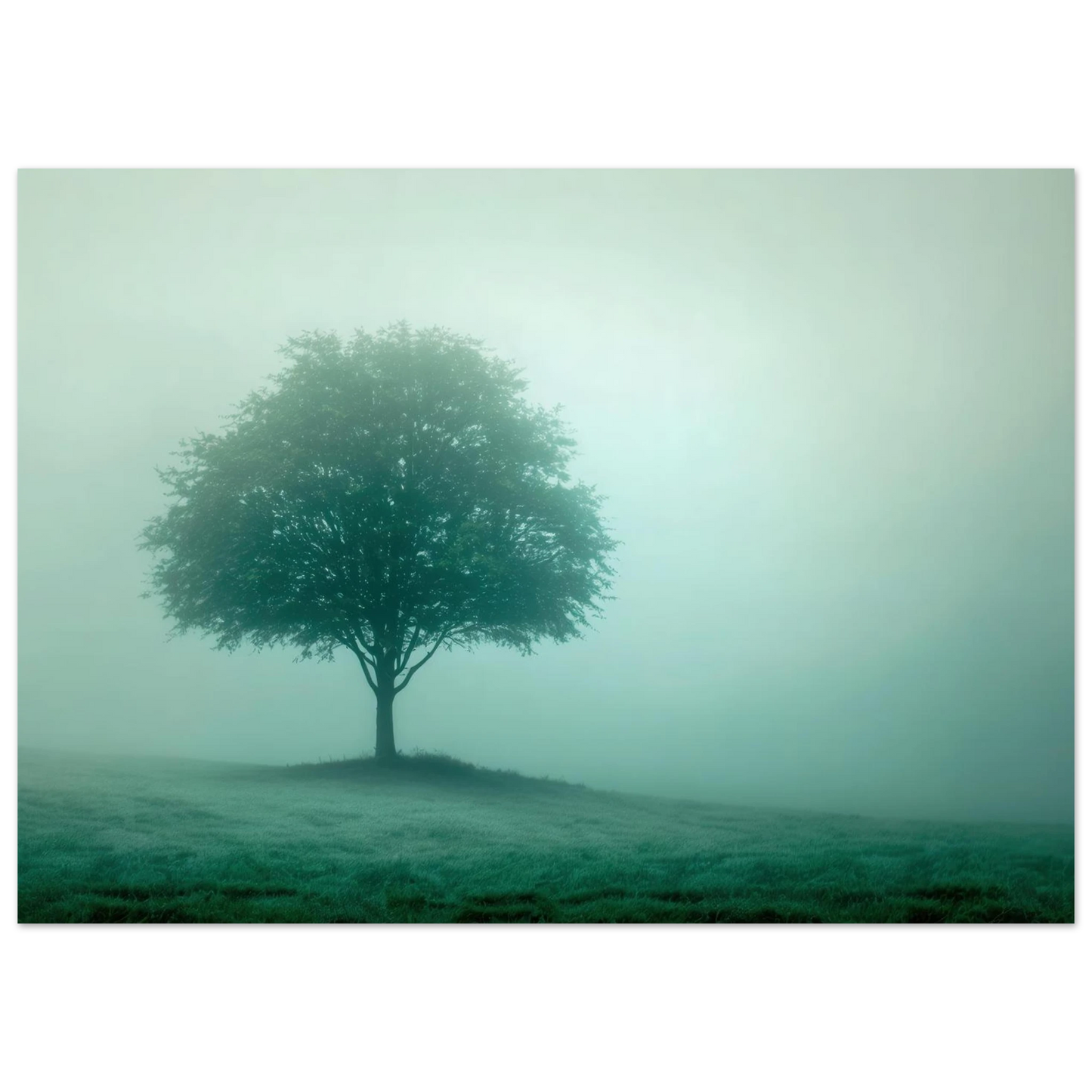 Wandbild mystischer baum im nebel ruhe und gruentoene fuer dein zuhause