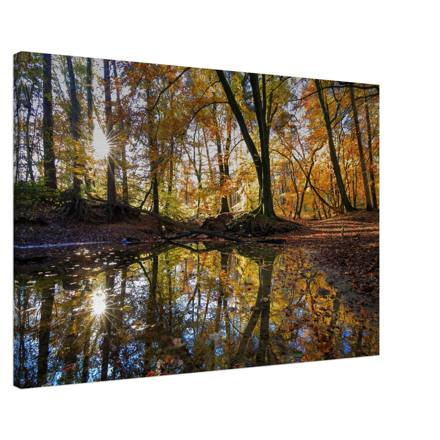 Wandbild goldener herbstwald stimmungsvolle spiegelung der natur in ihrer wunschgroesse