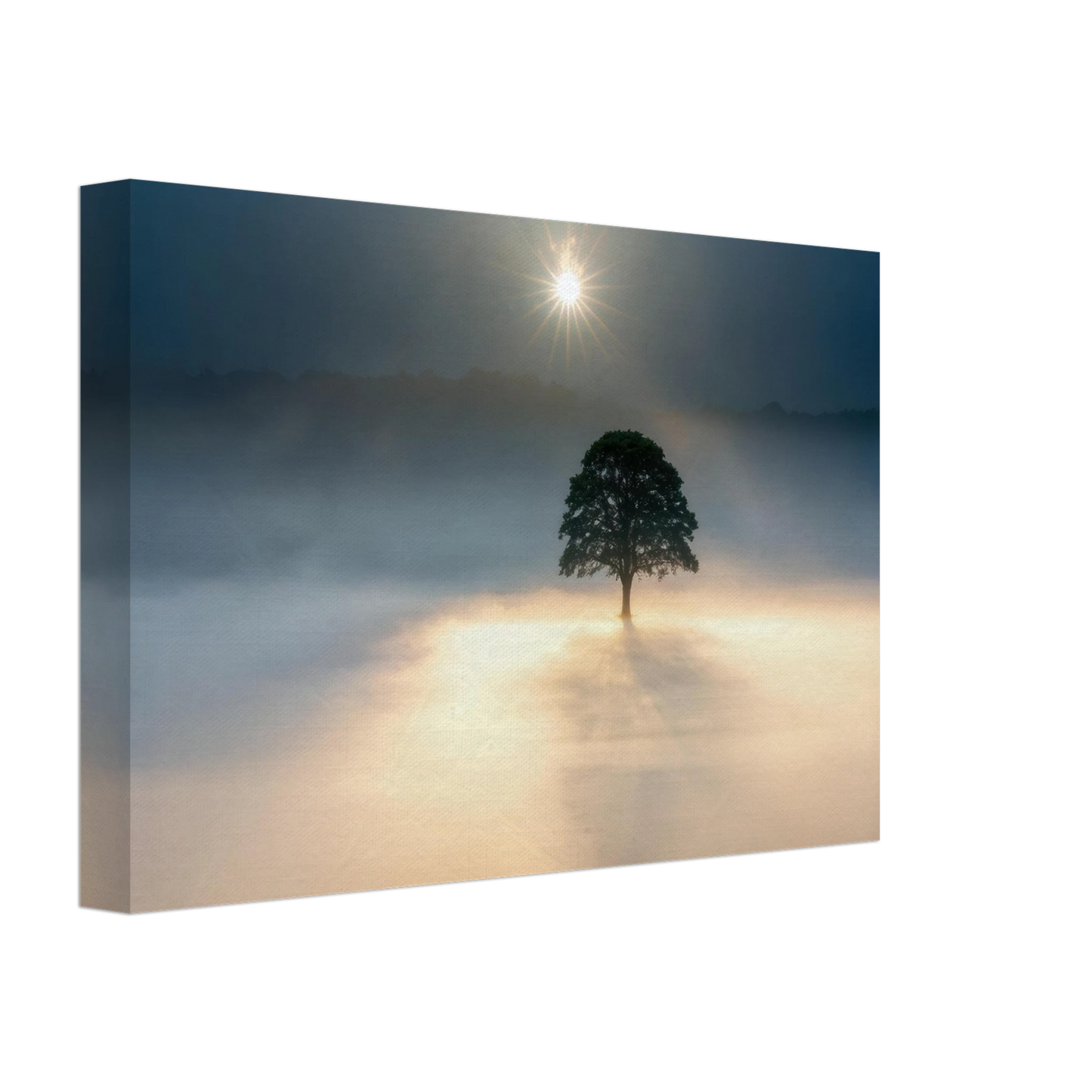Wandbild mystisches baum wandbild einzelner baum im nebel sonnenaufgang waehlbar in verschiedenen groessen
