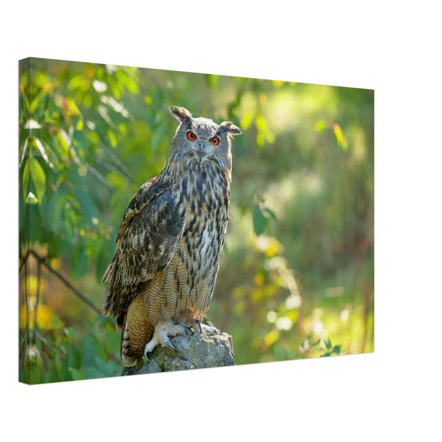 Wandbild mystische eule mit leuchtenden augen faszinierende wildtier kunst fuer ihr zuhause