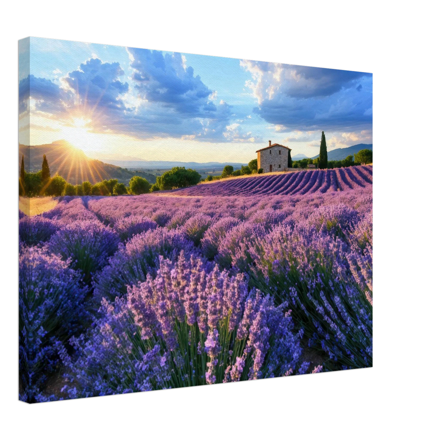 Wandbild sonnenuntergang ueber lavendelfeldern idyllische provence landschaft im wunschformat