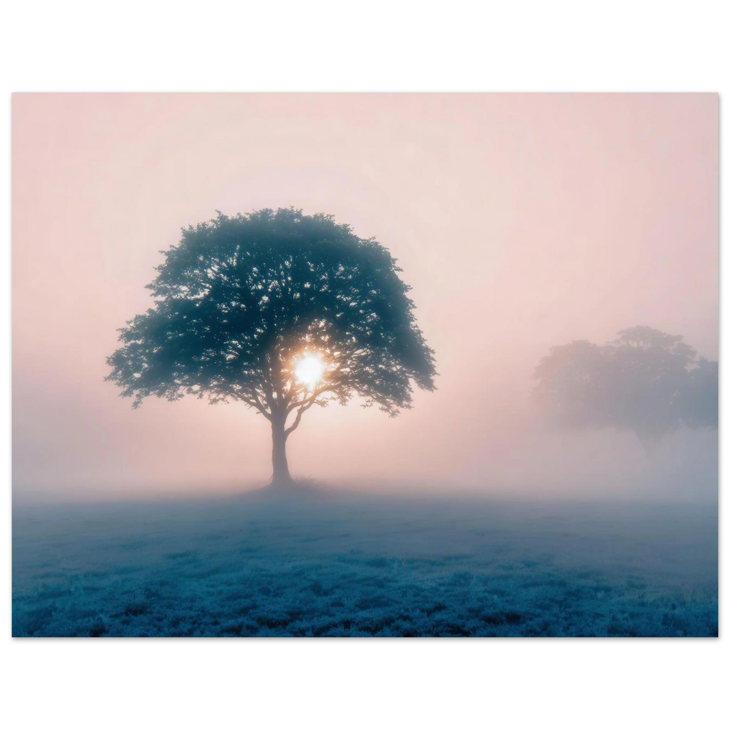 Wandbild mystischer morgendaemmerung baum traumhaftes landschaftsbild fuer ihre wohlfuehloase