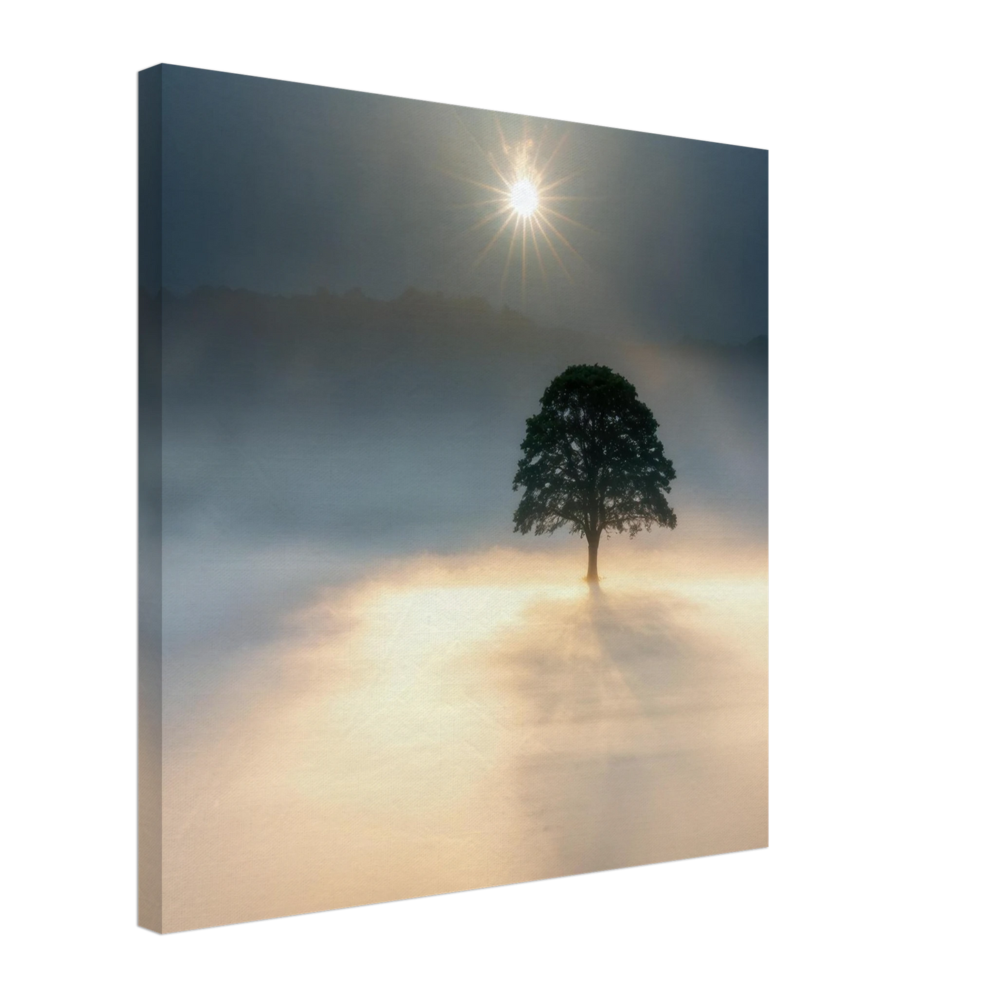Wandbild mystisches baum wandbild einzelner baum im nebel sonnenaufgang waehlbar in verschiedenen groessen