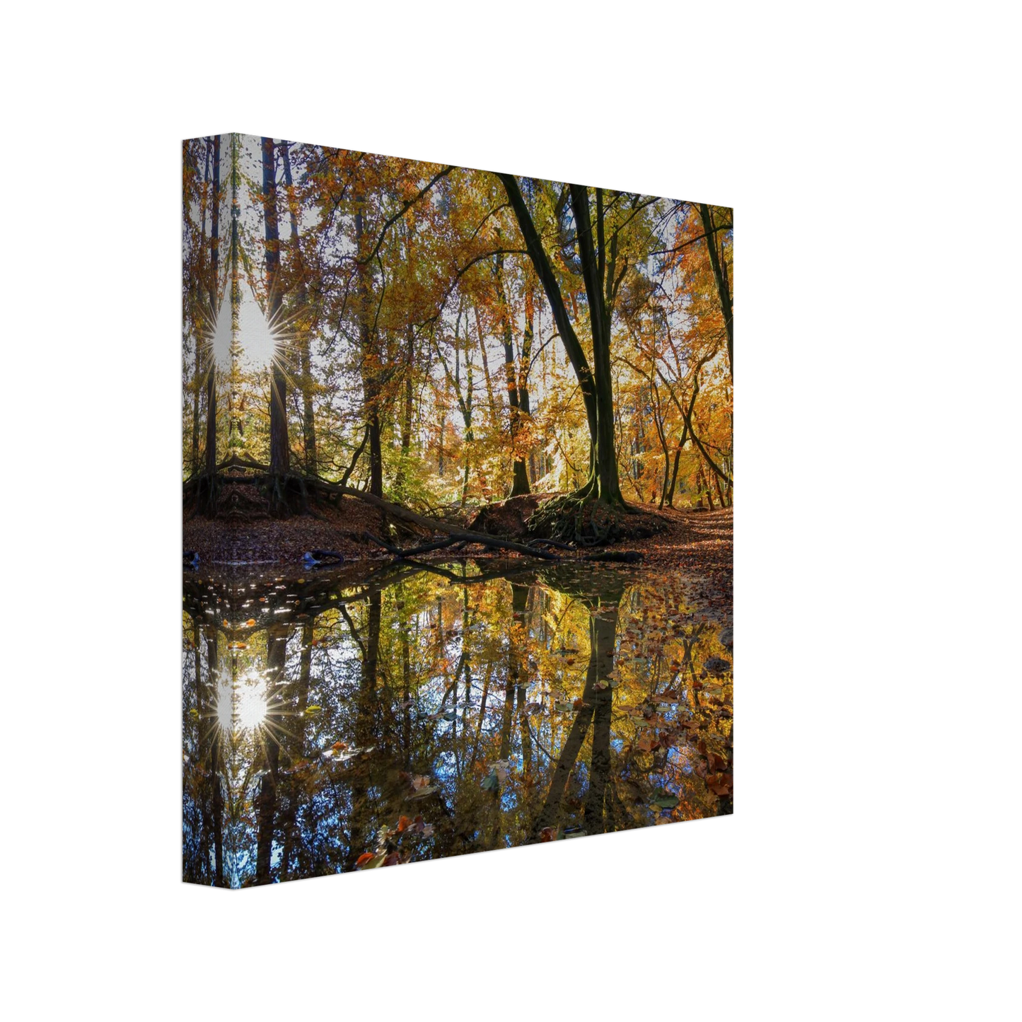 Wandbild goldener herbstwald stimmungsvolle spiegelung der natur in ihrer wunschgroesse