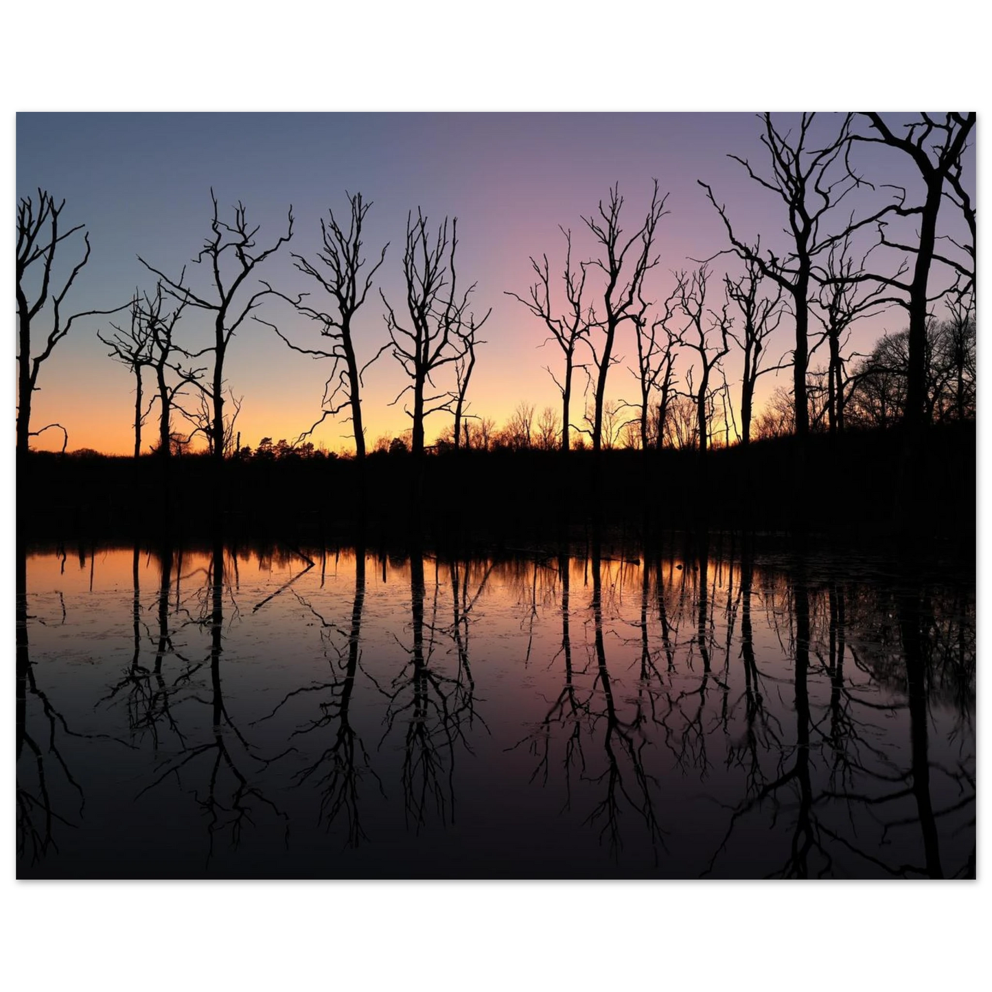 Wandbild sonnenuntergang ueber spiegelndem see magische naturlandschaft mit silhouetten