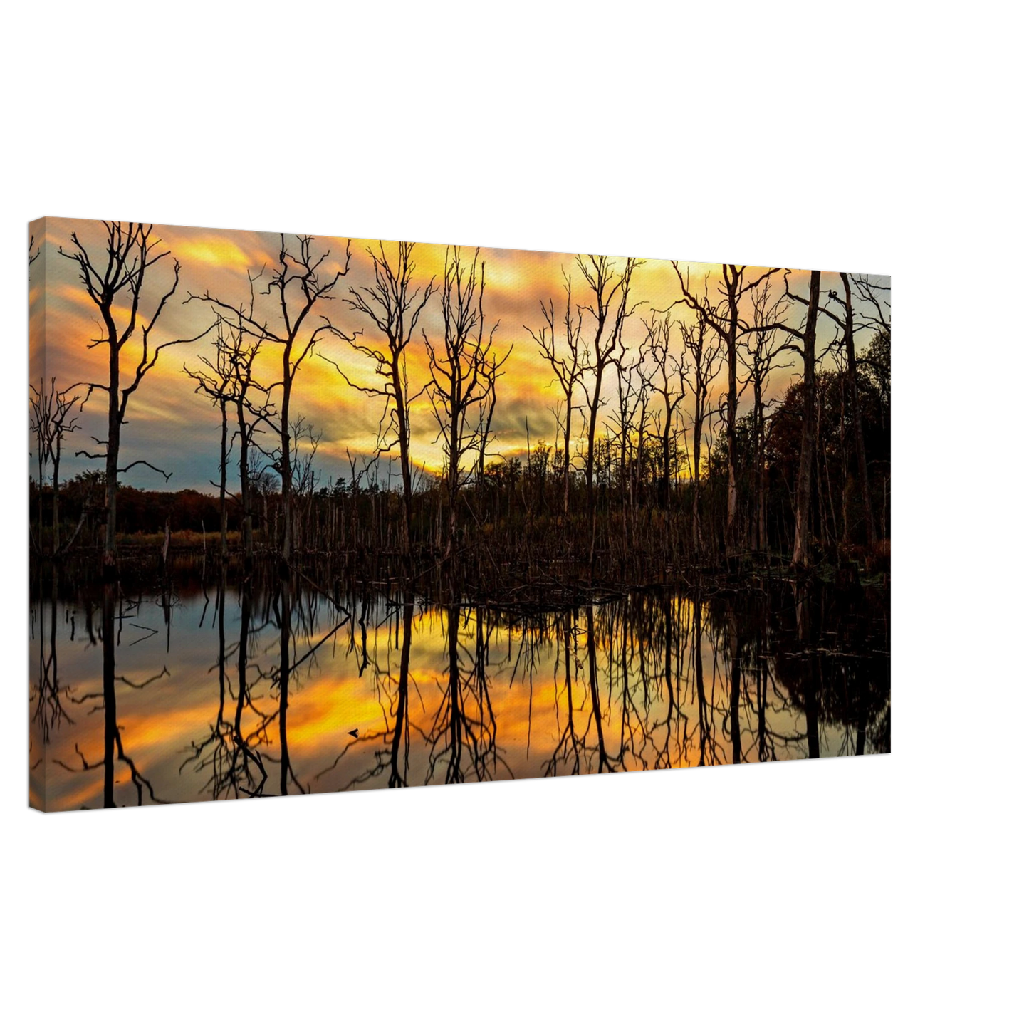 Wandbild mystischer sonnenuntergang ueber dem baumsee lebendige kunstdrucke in vielen groessen