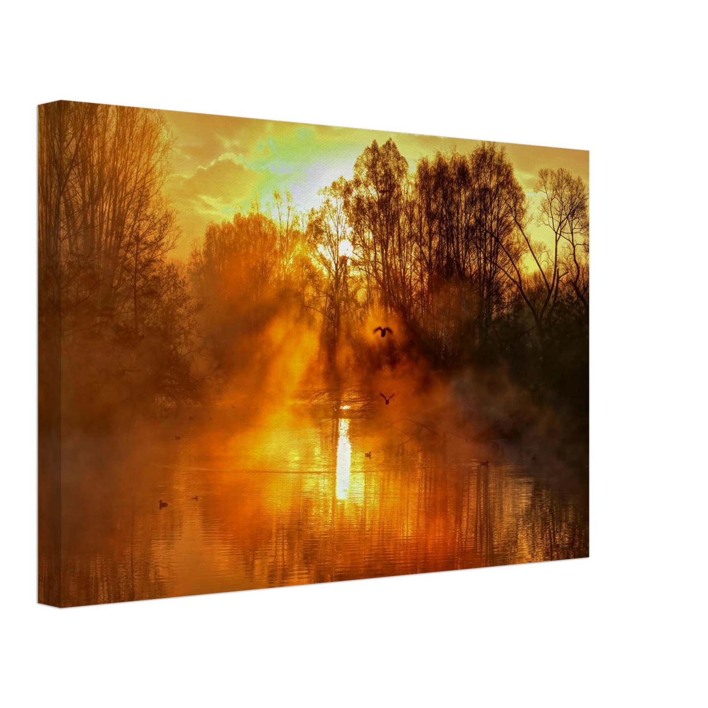 Wandbild Goldene morgenroete wandbild nebelwald poster in 25 groessenausfuehrungen