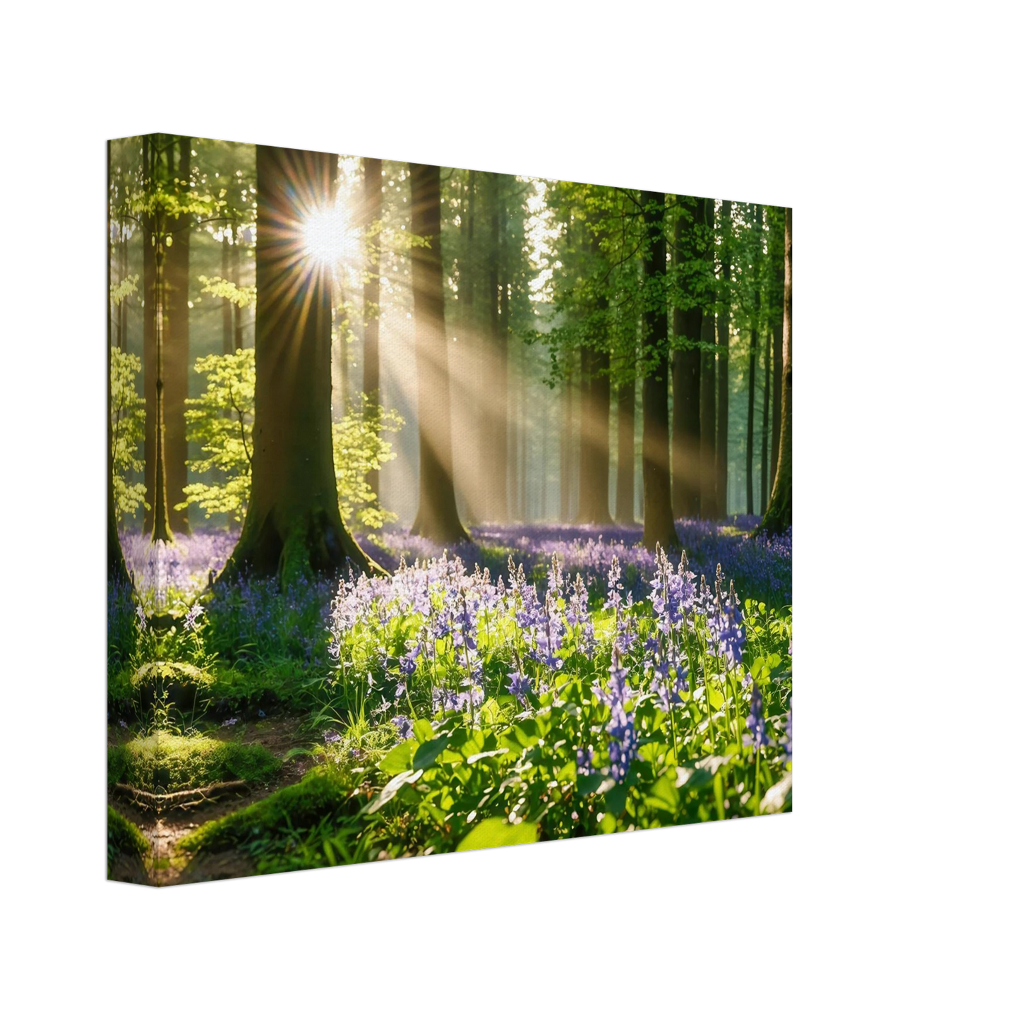 Wandbild mystischer morgenwald mit sonnenstrahlen und lila blueten in vielen groessen