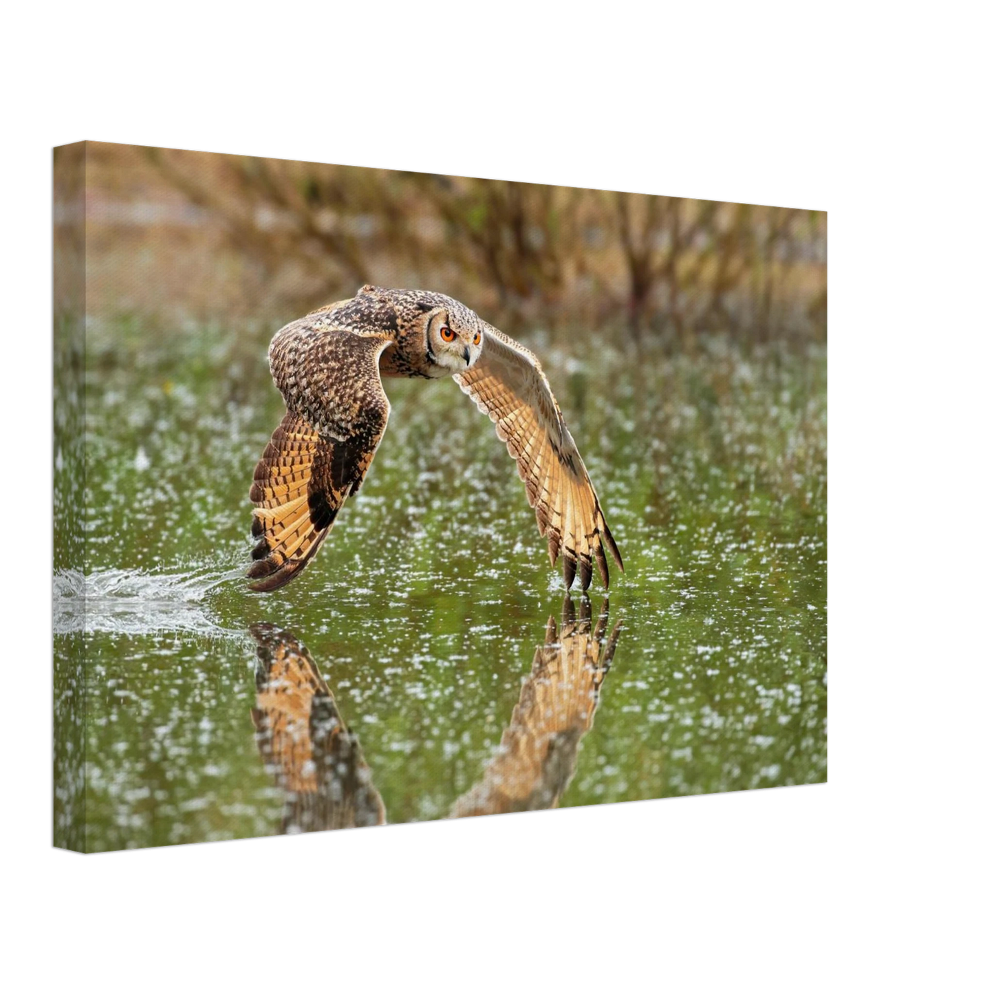 Wandbild majestaetische eule im flug naturfotografie mit lebendigen orangetoenen in ihrer wunschgroesse