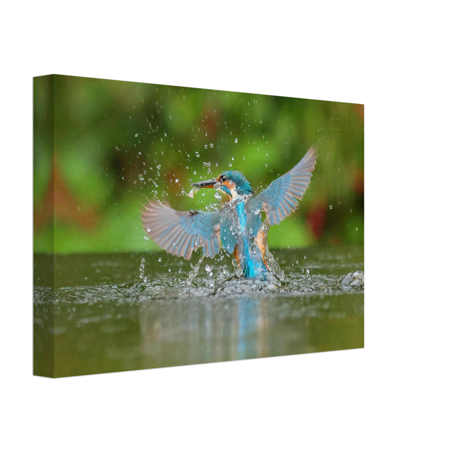 Wandbild eisvogel lebendige pracht ein dynamisches meisterwerk der wildnis