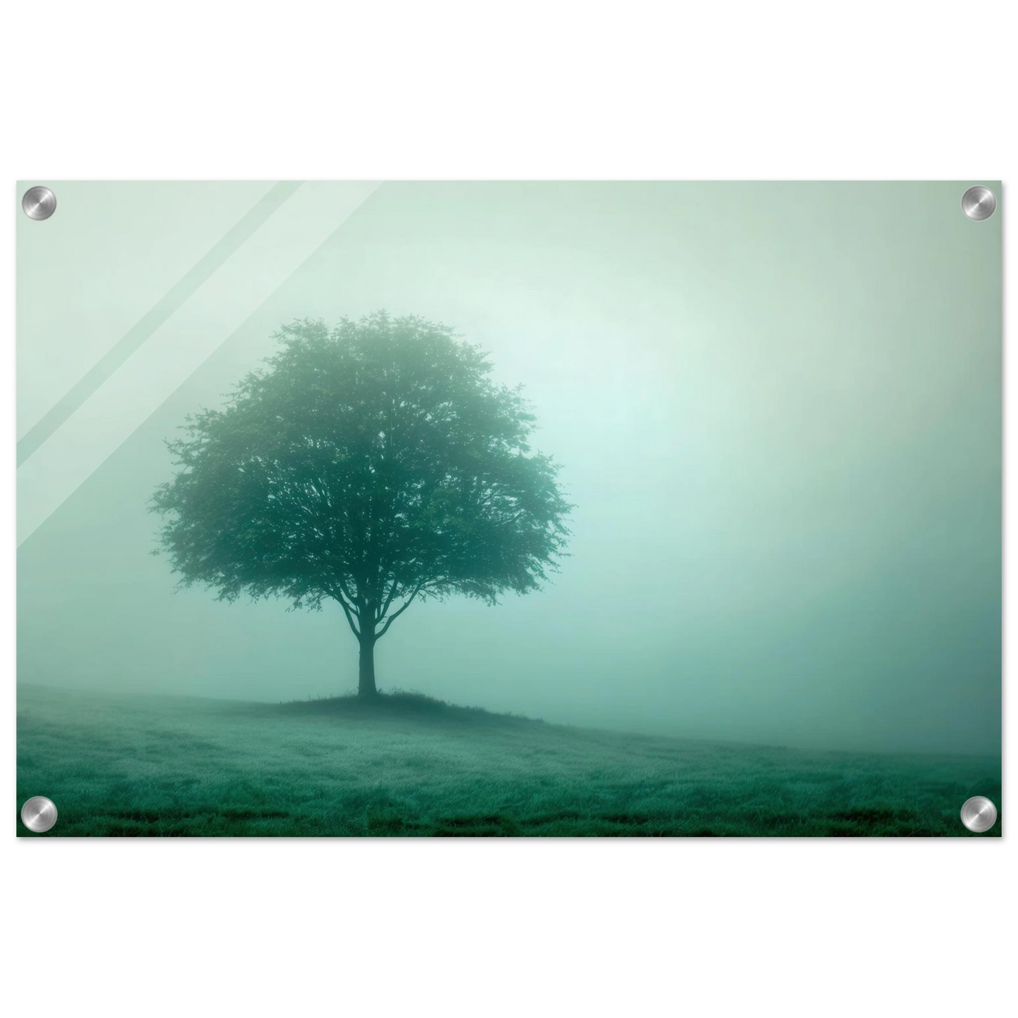 Wandbild mystischer baum im nebel ruhe und gruentoene fuer dein zuhause