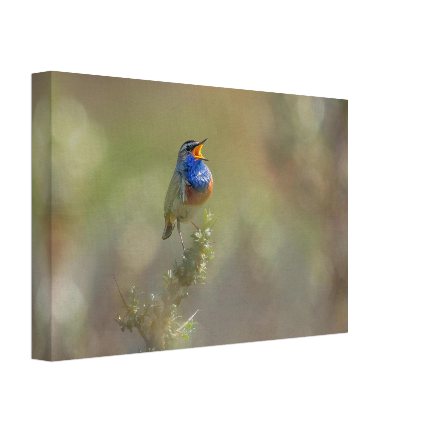 Wandbild singvogel in blautoenen lebendige vogelkunst fuer ihr zuhause in ihrer wunschgroesse