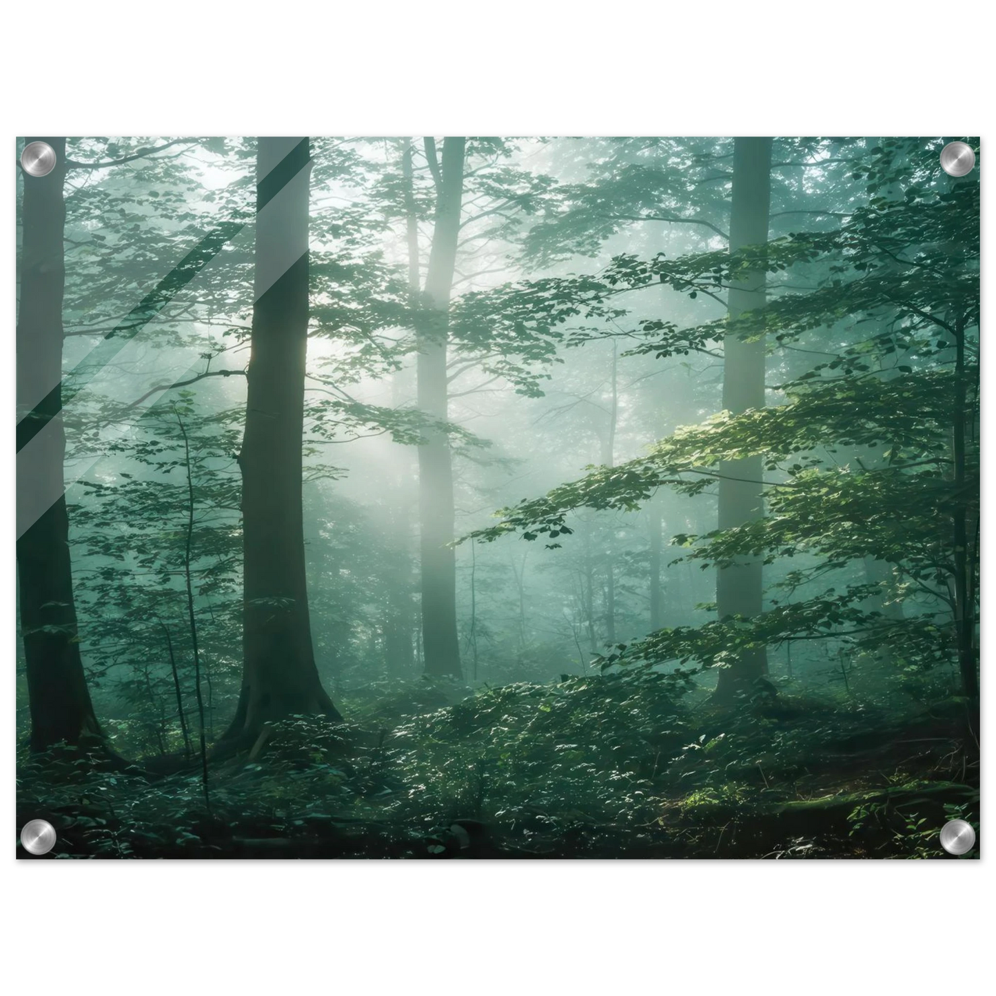 Wandbild mystischer smaragd wald mit sonnenstrahlen beruhigende nebelwald kunst in ihrer wunschgroesse
