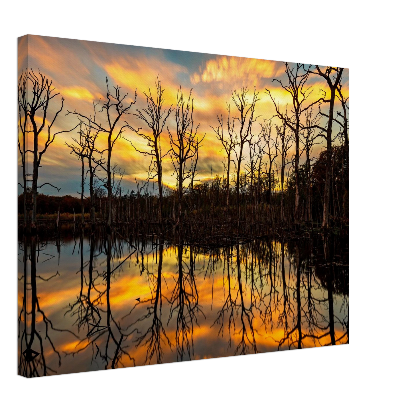 Wandbild mystischer sonnenuntergang ueber dem baumsee lebendige kunstdrucke in vielen groessen