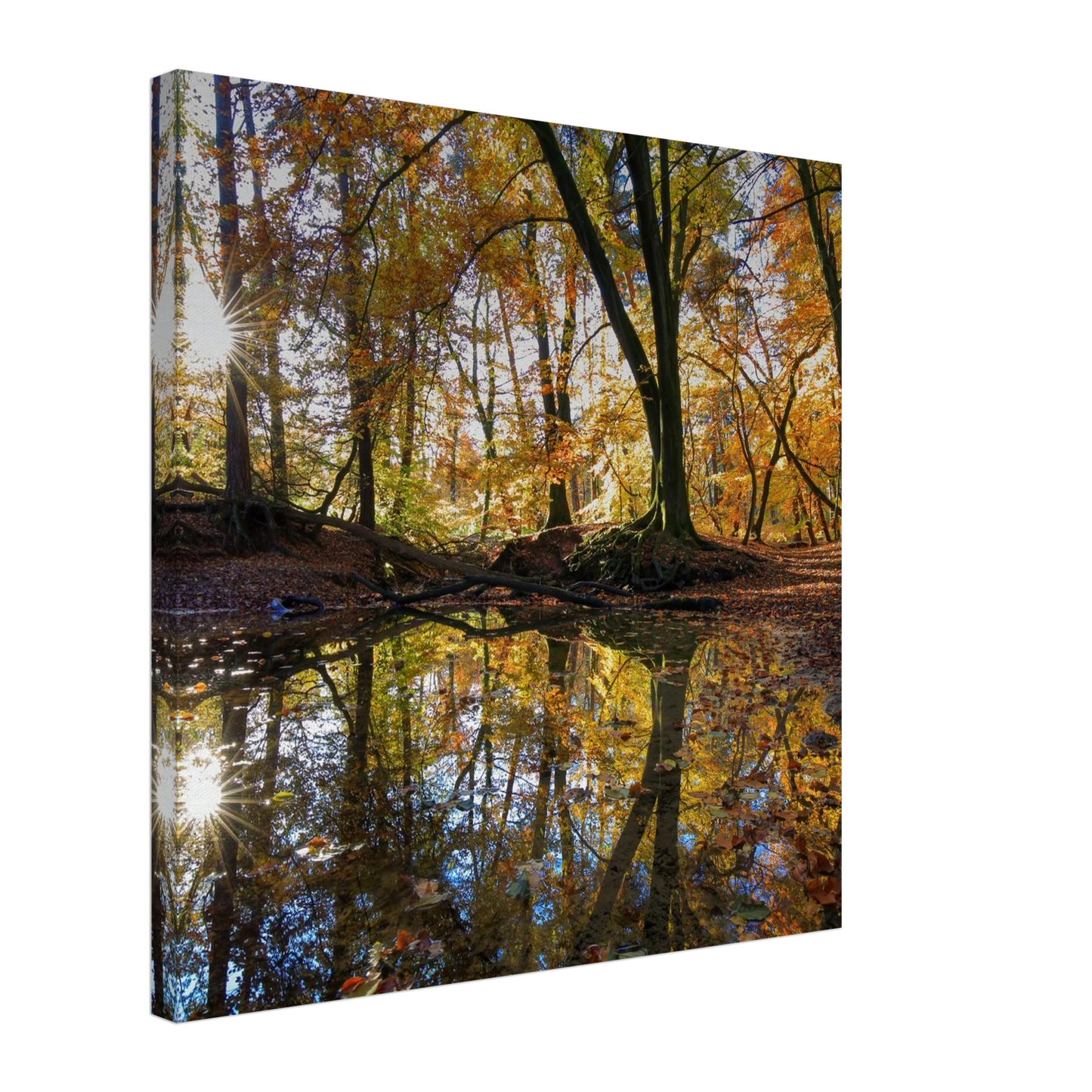 Wandbild goldener herbstwald stimmungsvolle spiegelung der natur in ihrer wunschgroesse