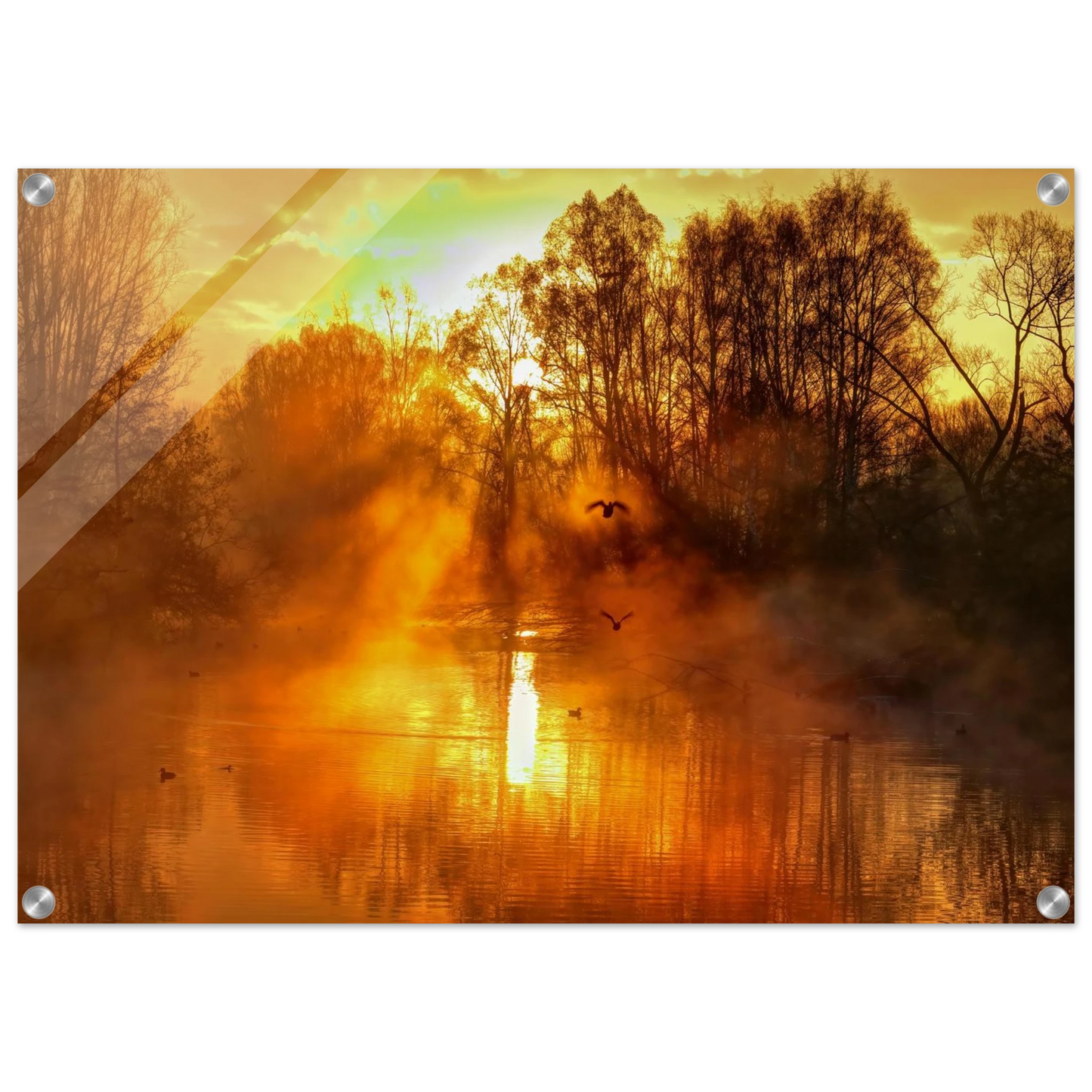 Wandbild Goldene morgenroete wandbild nebelwald poster in 25 groessenausfuehrungen