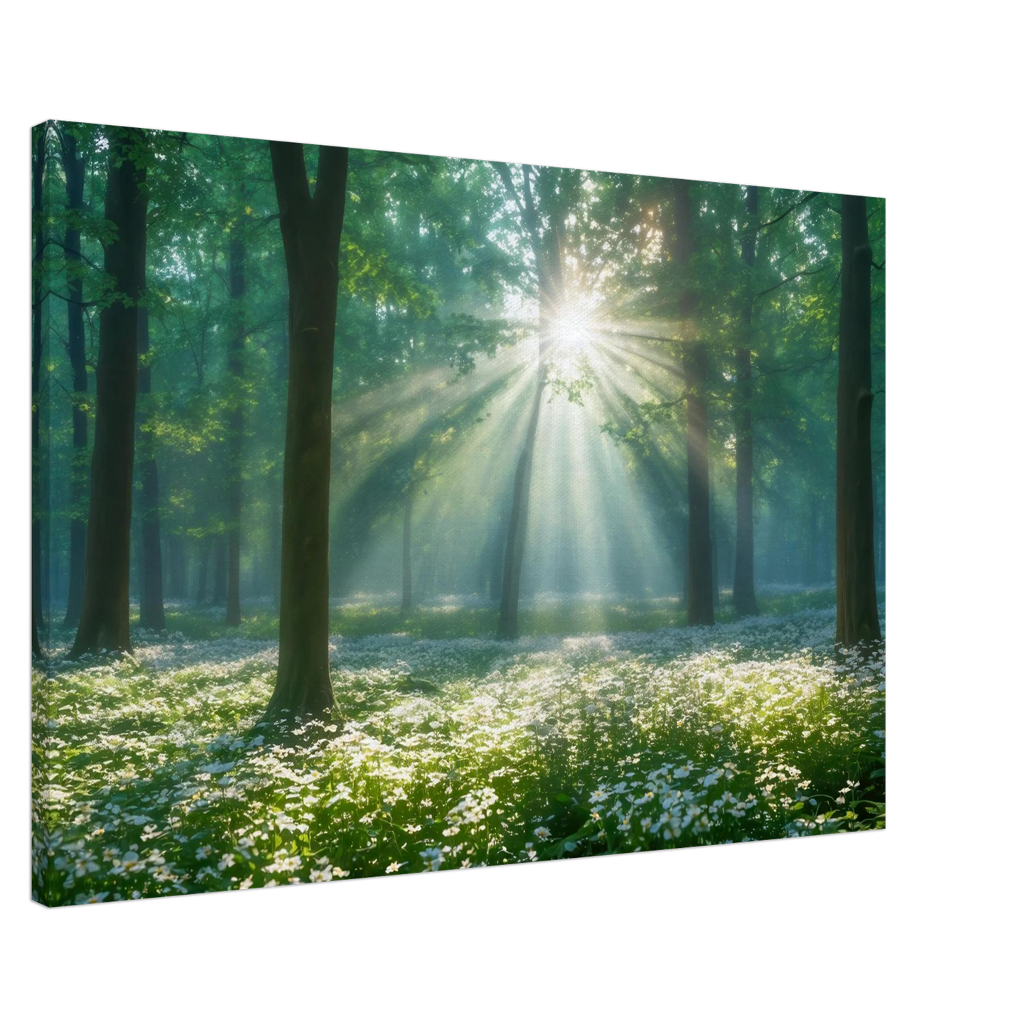 Wandbild mystischer wald sonnenstrahlen im gruenen bluetenmeer