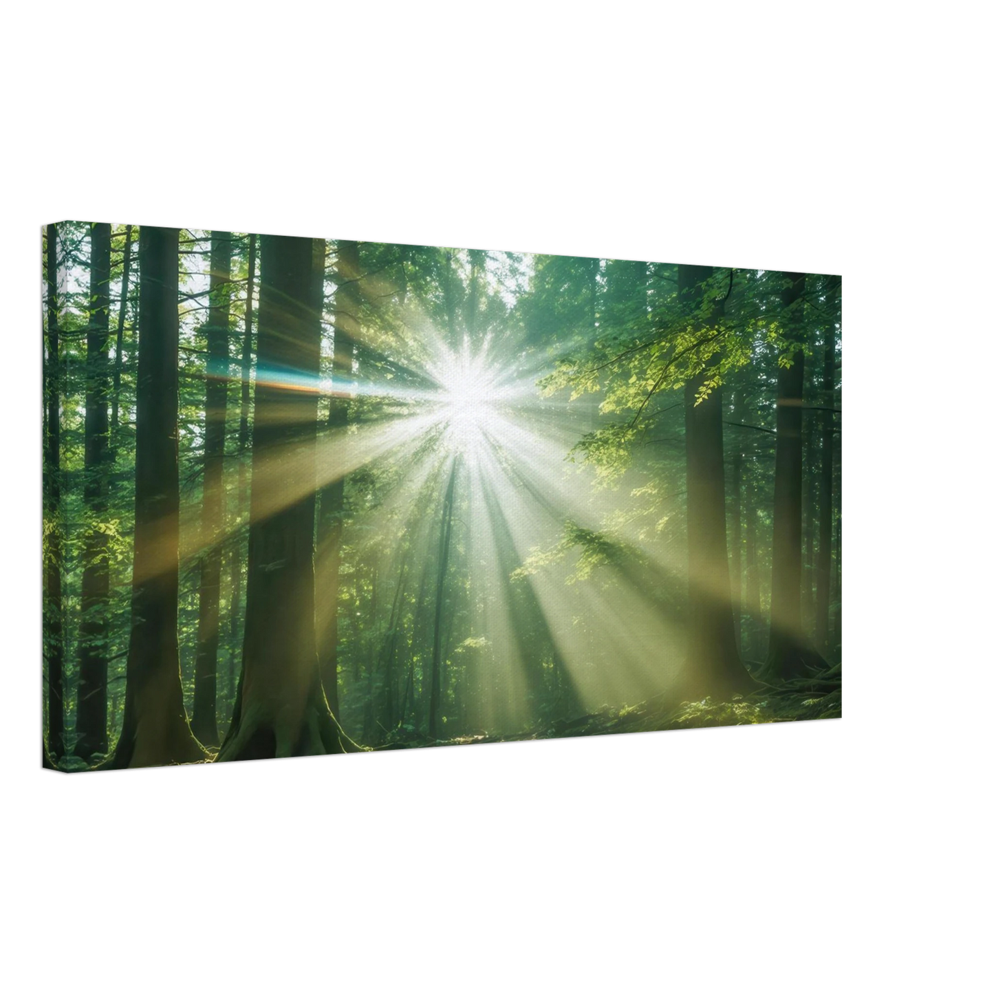 Wandbild sonnenstrahlen im wald mystisches waldlicht kunstdruck in ihrer wunschgroesse