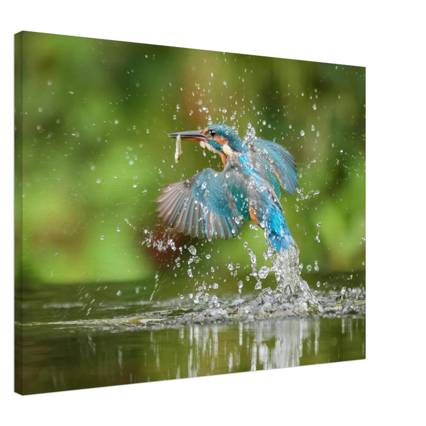 Wandbild eisvogel im sturzflug lebendige wildtierkunst fuer ihr zuhause