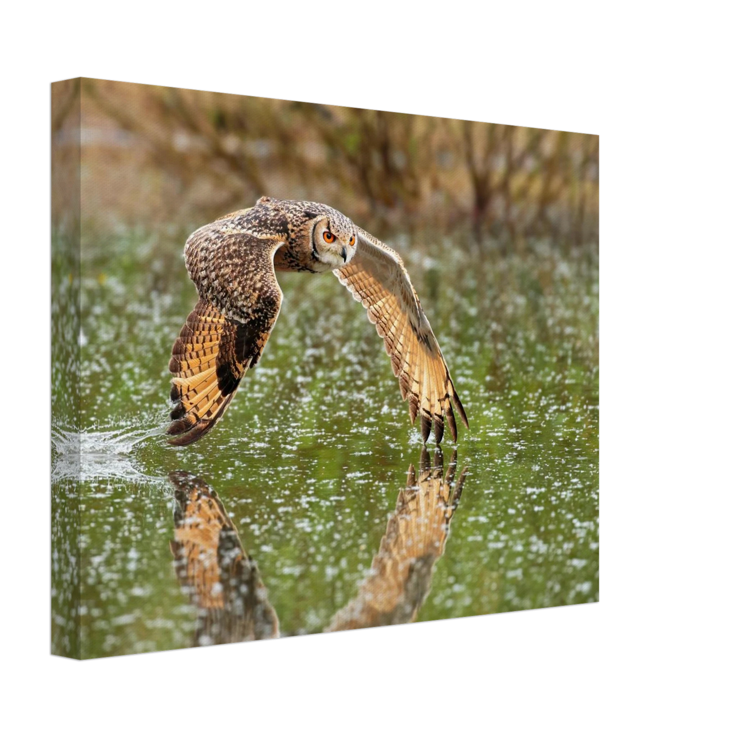 Wandbild majestaetische eule im flug naturfotografie mit lebendigen orangetoenen in ihrer wunschgroesse
