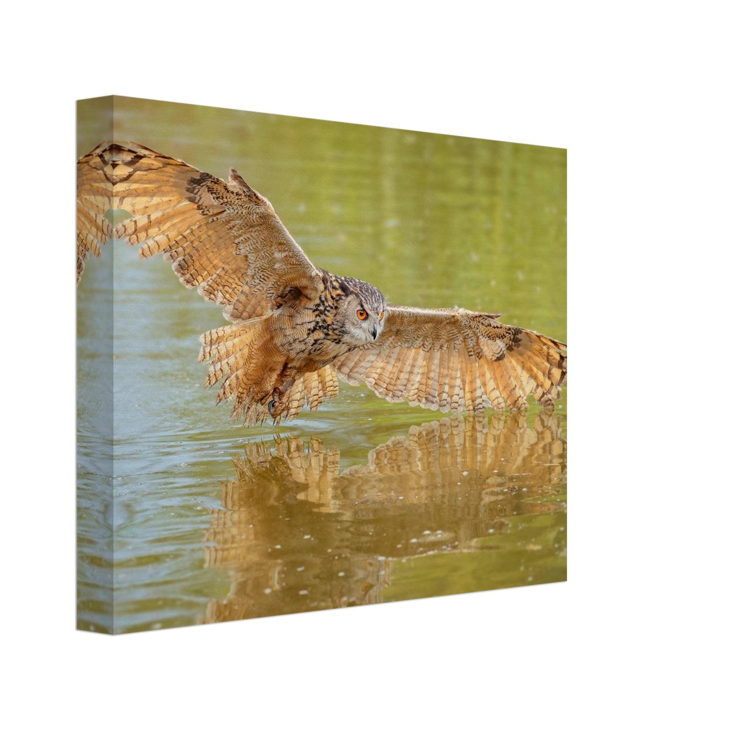 Wandbild majestaetischer uhu im jagdflug atemberaubende wildtierkunst in verschiedenen groessen