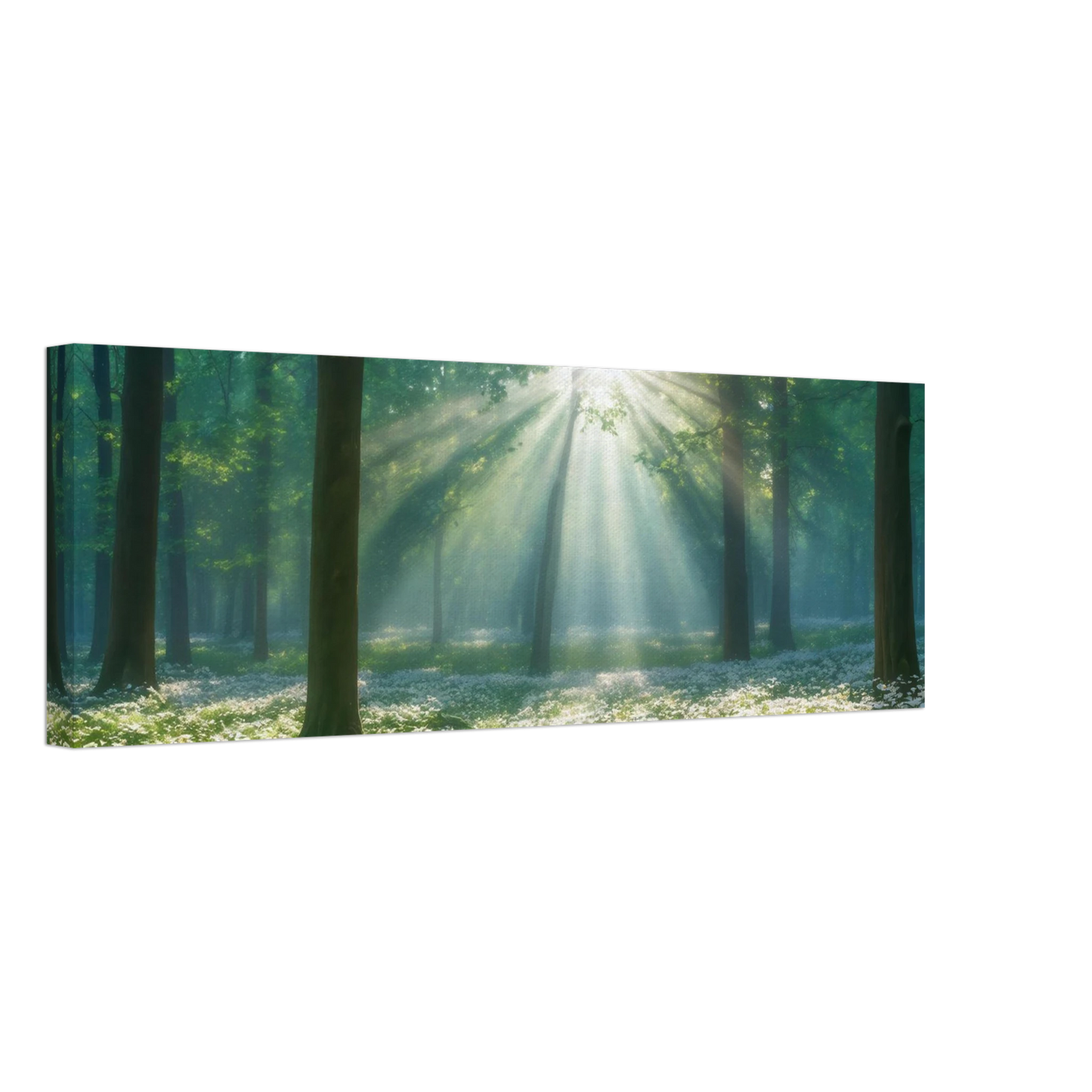 Wandbild mystischer wald sonnenstrahlen im gruenen bluetenmeer