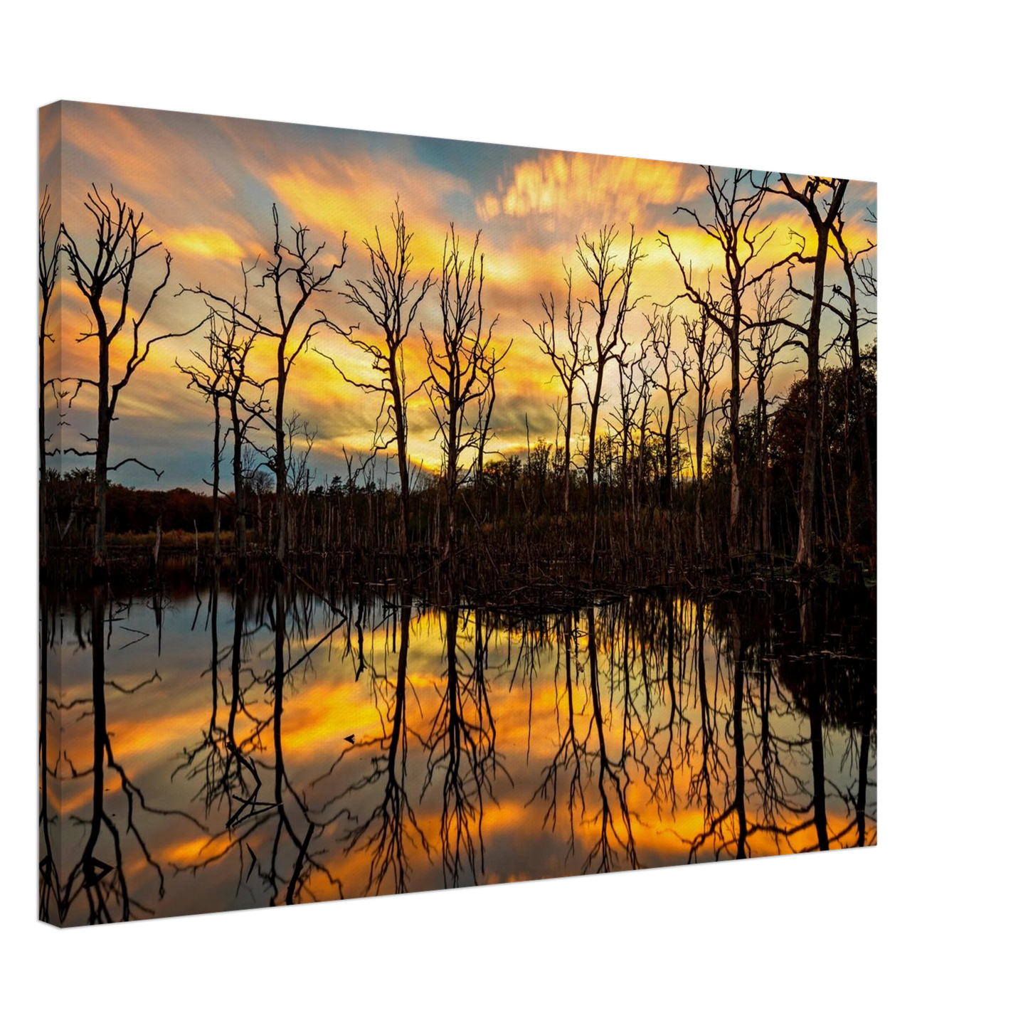 Wandbild mystischer sonnenuntergang ueber dem baumsee lebendige kunstdrucke in vielen groessen