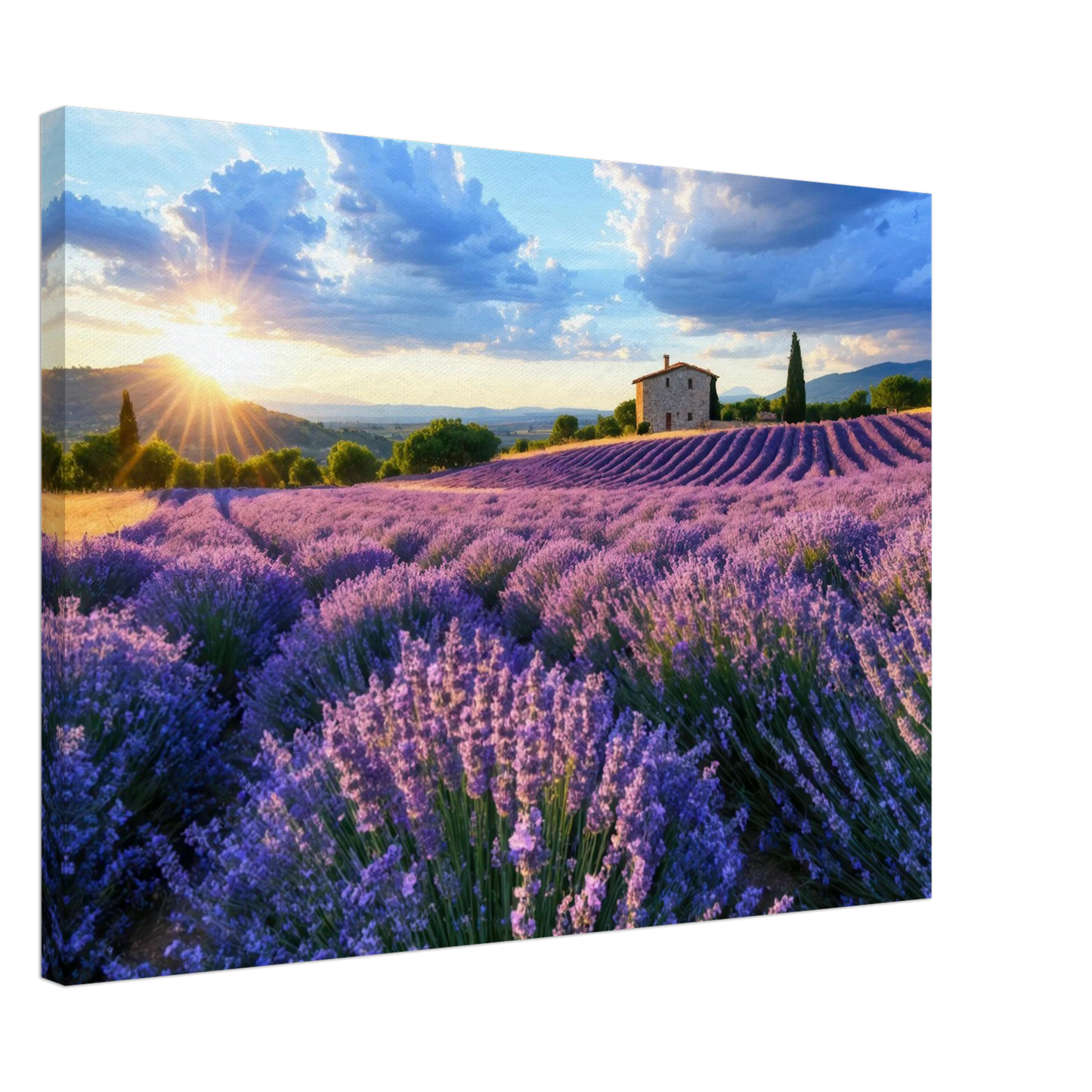 Wandbild sonnenuntergang ueber lavendelfeldern idyllische provence landschaft im wunschformat