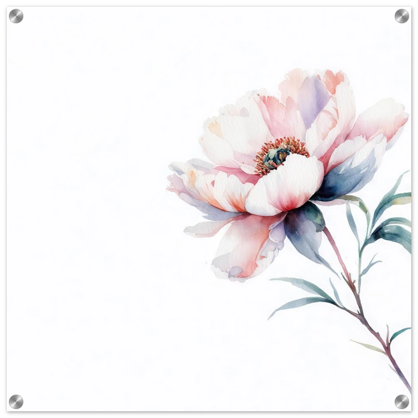 Wandbild zarte pfingstrose elegante aquarell kunst fuer ihr zuhause in wunschgroesse