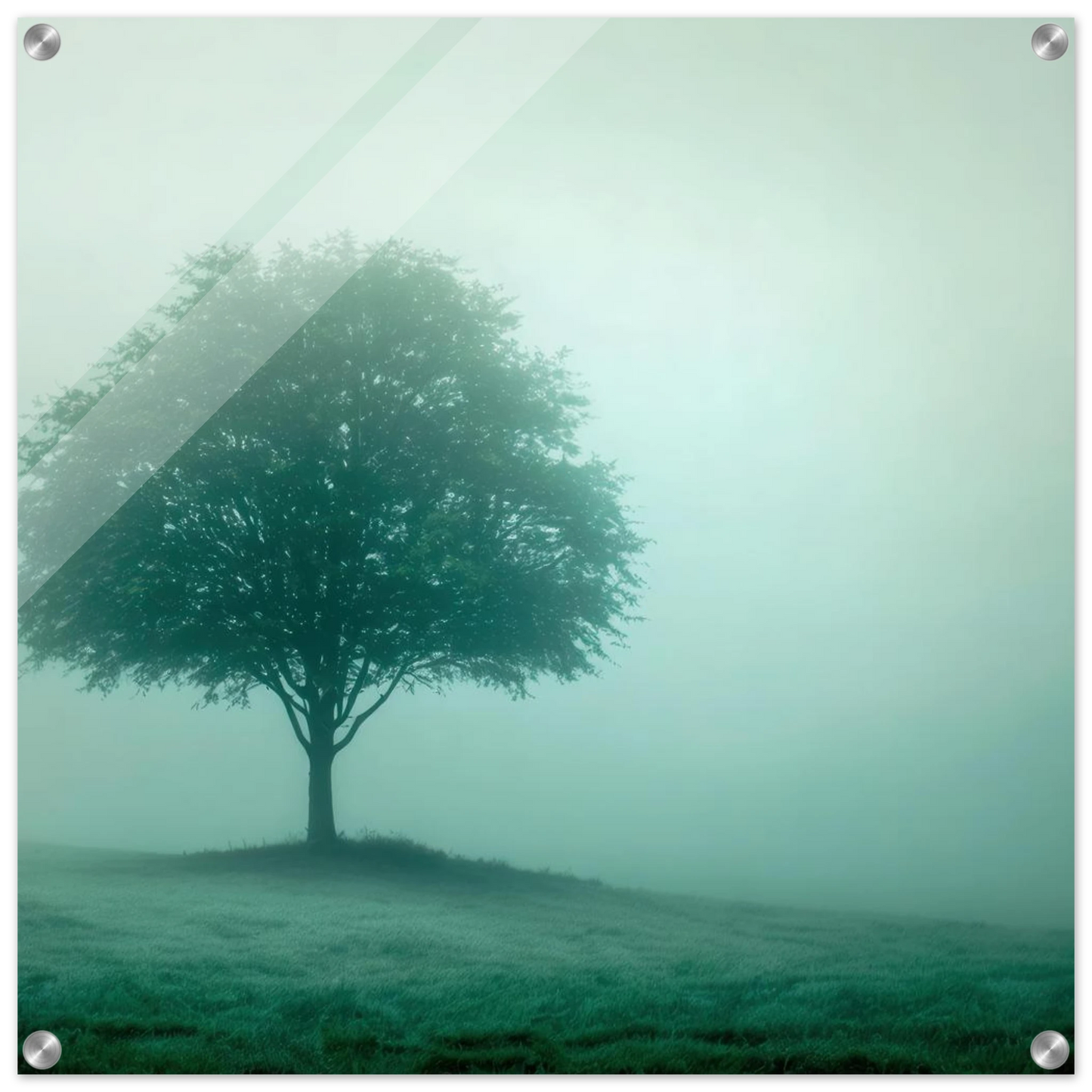 Wandbild mystischer baum im nebel ruhe und gruentoene fuer dein zuhause