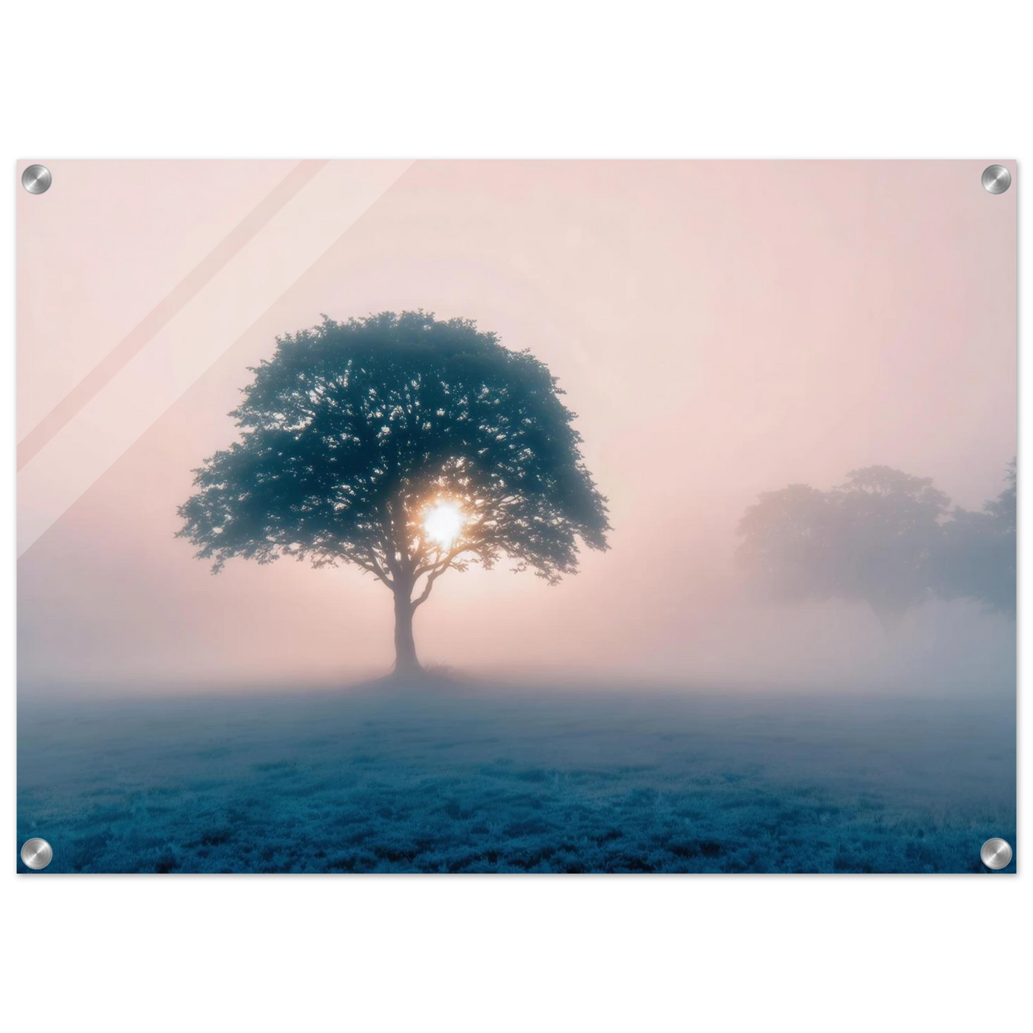 Wandbild mystischer morgendaemmerung baum traumhaftes landschaftsbild fuer ihre wohlfuehloase