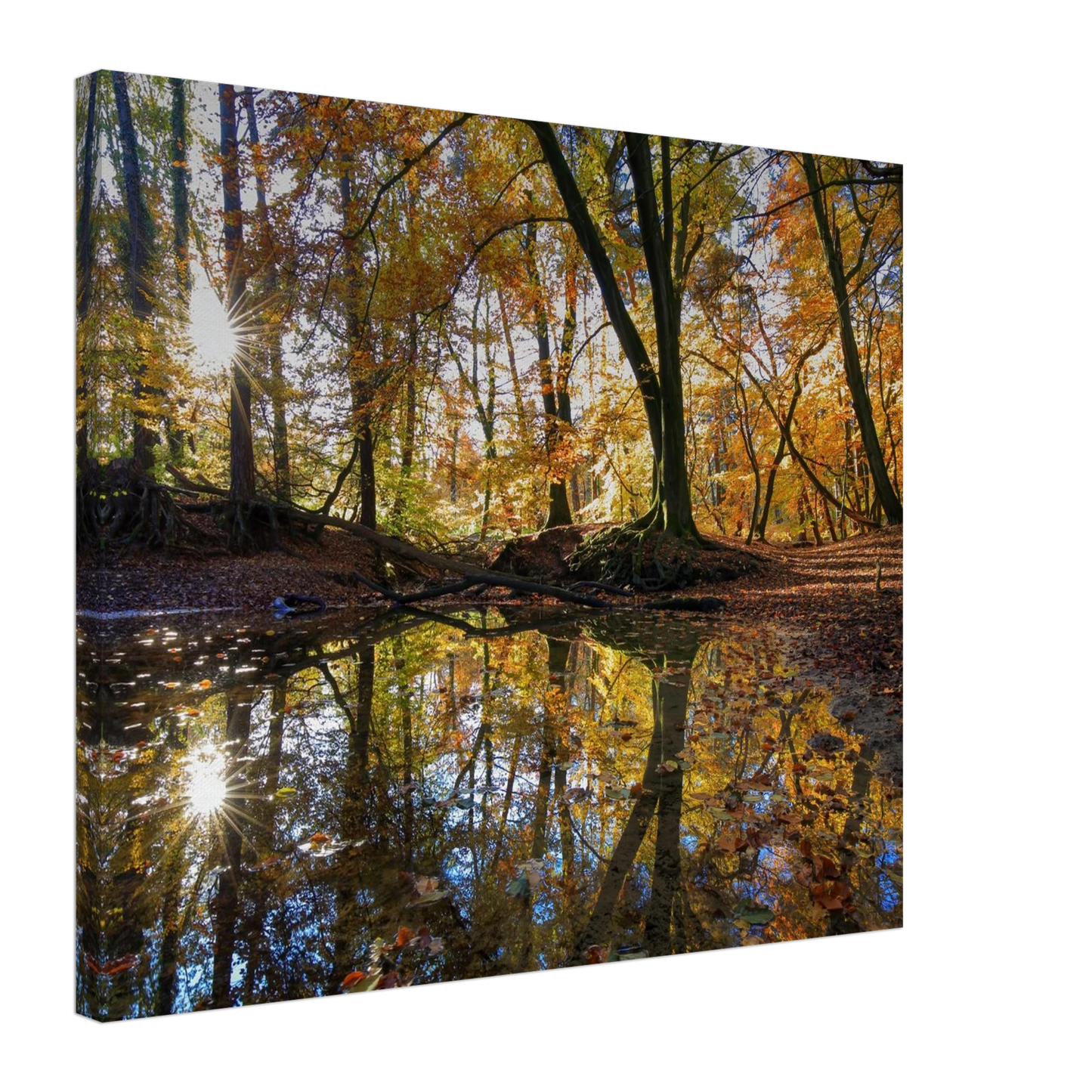 Wandbild goldener herbstwald stimmungsvolle spiegelung der natur in ihrer wunschgroesse