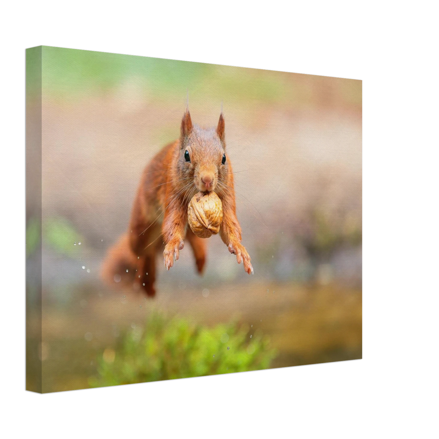 Wandbild eichhoernchens freudensprung dynamische tierkunst in leuchtenden farben