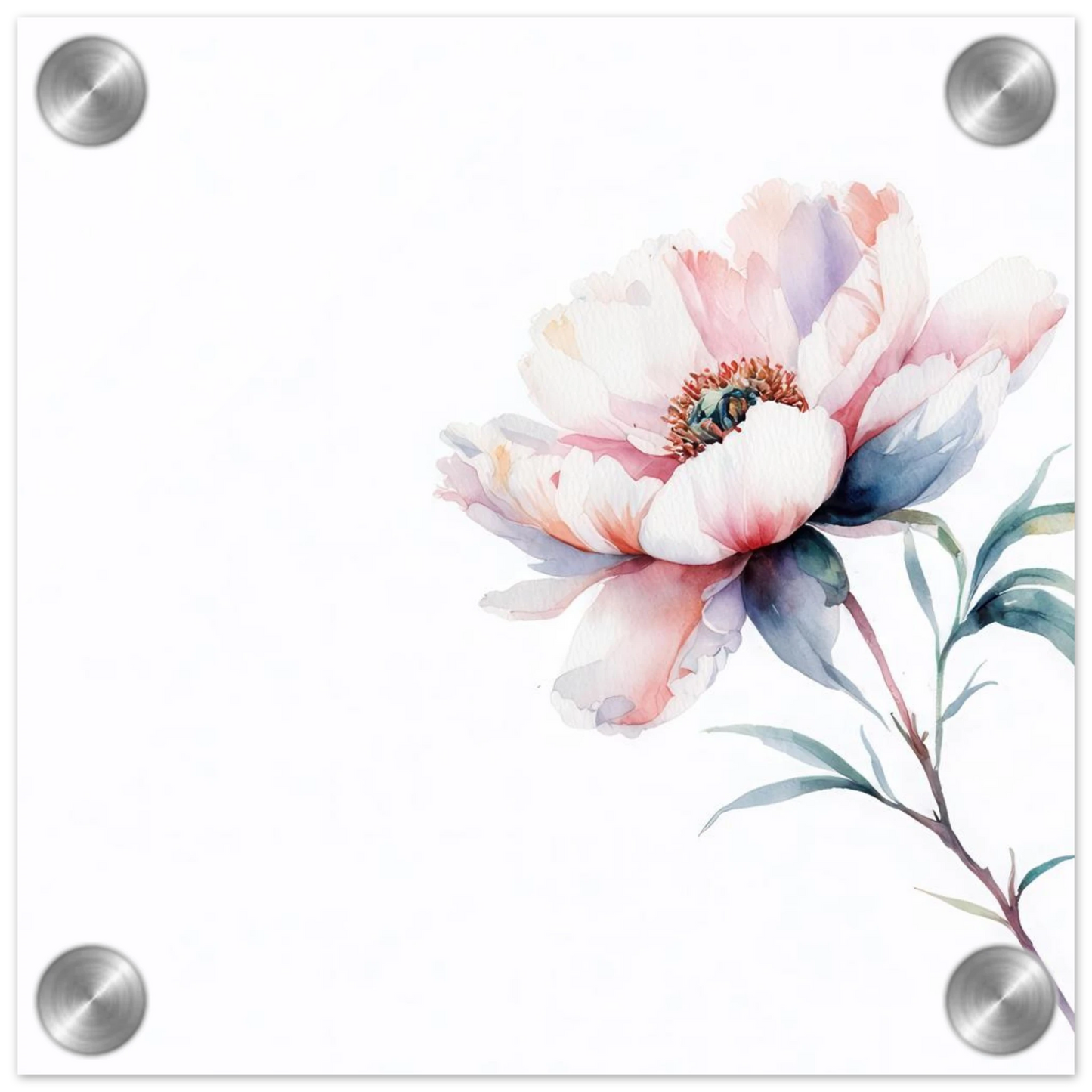 Wandbild zarte pfingstrose elegante aquarell kunst fuer ihr zuhause in wunschgroesse