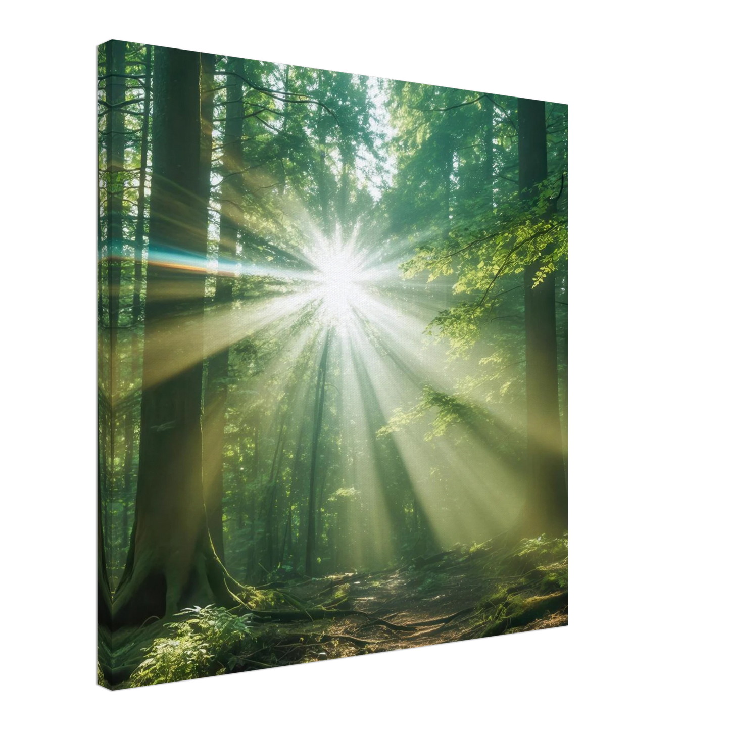 Wandbild sonnenstrahlen im wald mystisches waldlicht kunstdruck in ihrer wunschgroesse