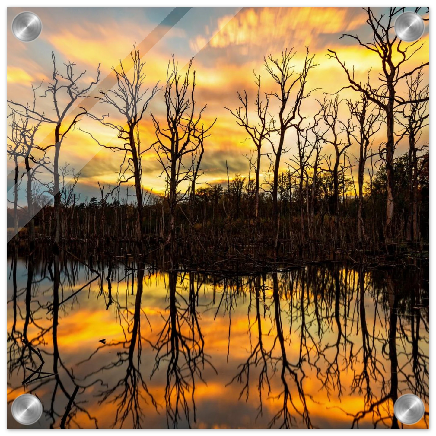 Wandbild mystischer sonnenuntergang ueber dem baumsee lebendige kunstdrucke in vielen groessen