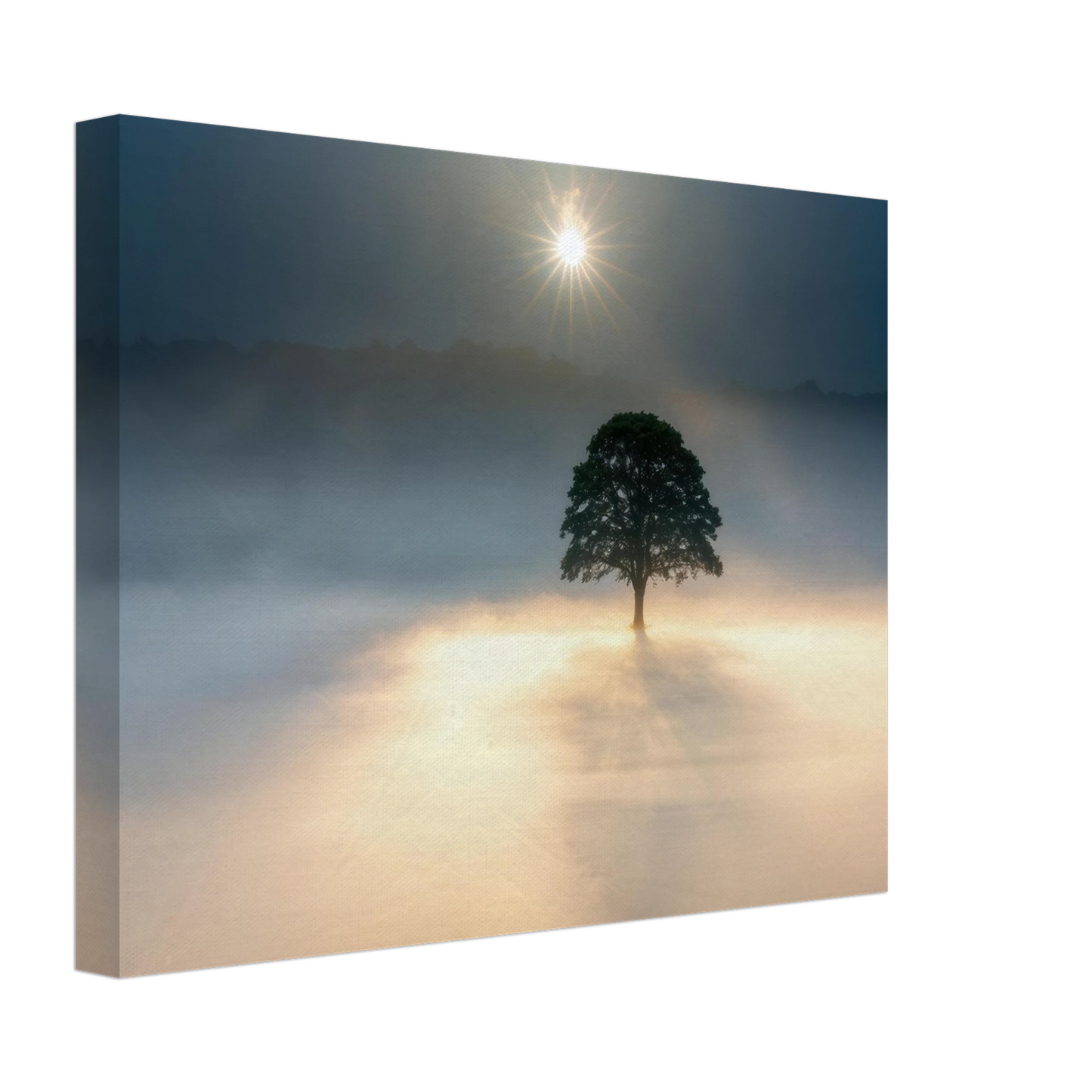 Wandbild mystisches baum wandbild einzelner baum im nebel sonnenaufgang waehlbar in verschiedenen groessen