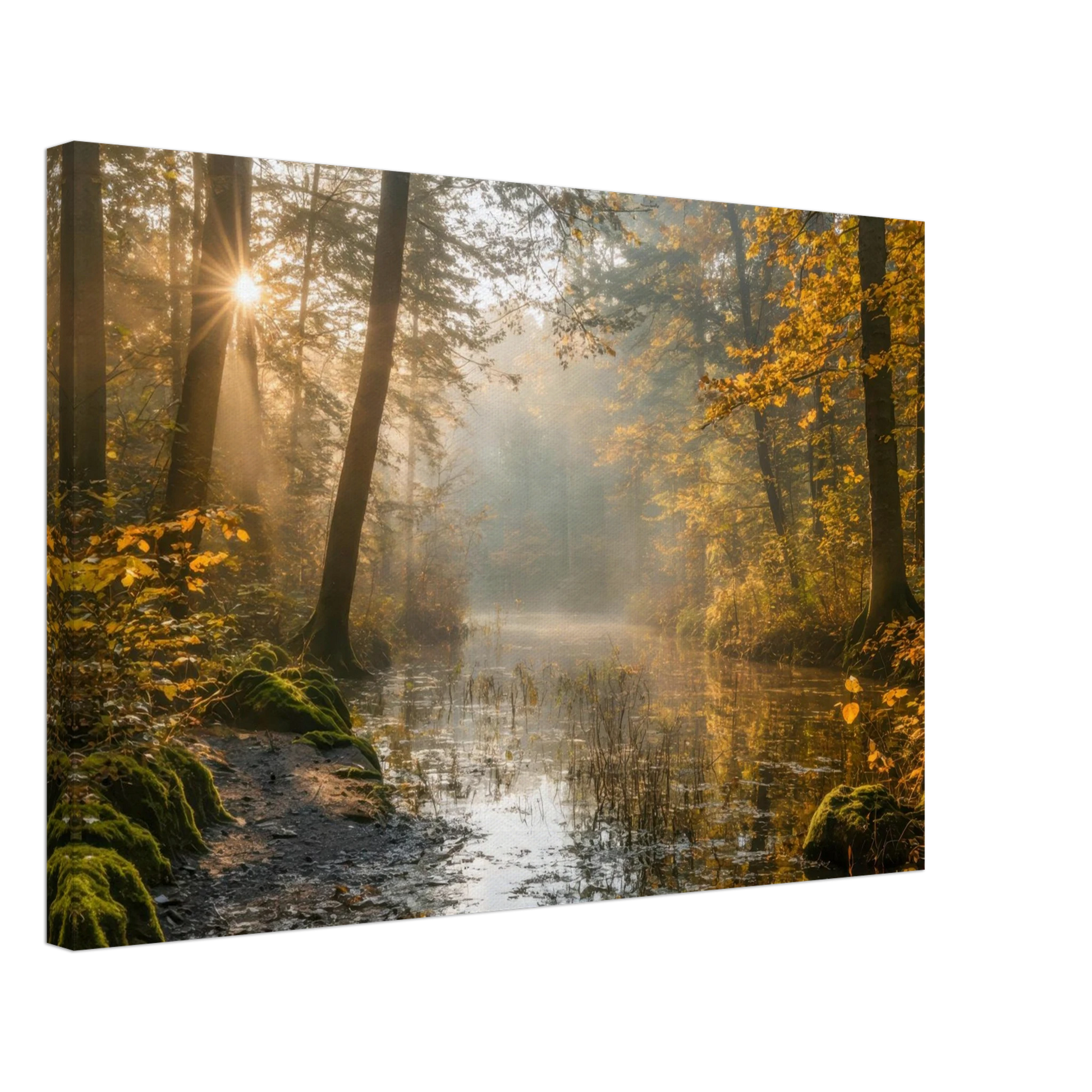 Wandbild Herbstwald morgenlicht wandbild goldenes ambiente in deiner wunschgroesse