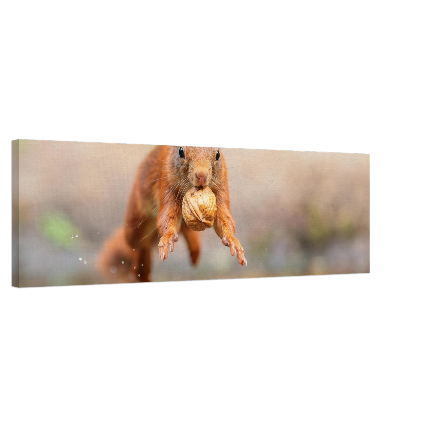 Wandbild eichhoernchens freudensprung dynamische tierkunst in leuchtenden farben