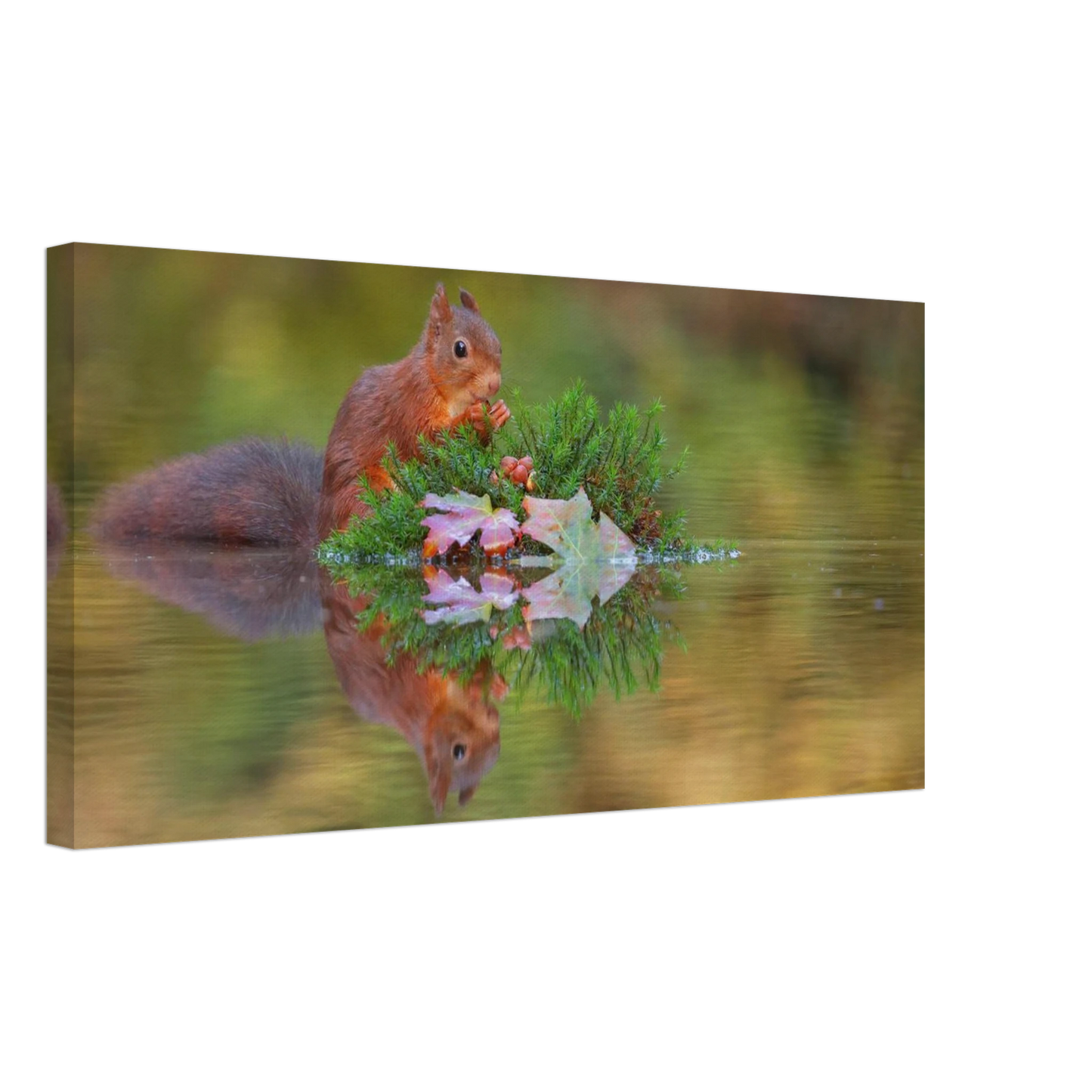 Wandbild bezauberndes eichhoernchen im herbstwald lebendige wildtierkunst fuer ihr zuhause in vielen groessen