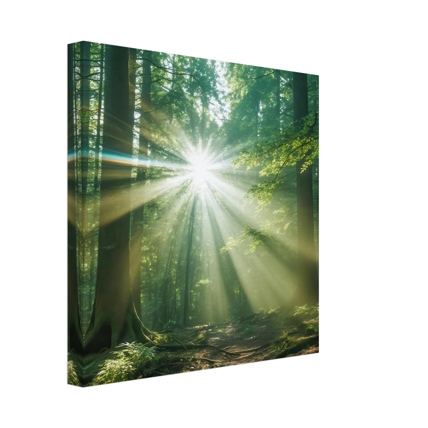 Wandbild sonnenstrahlen im wald mystisches waldlicht kunstdruck in ihrer wunschgroesse