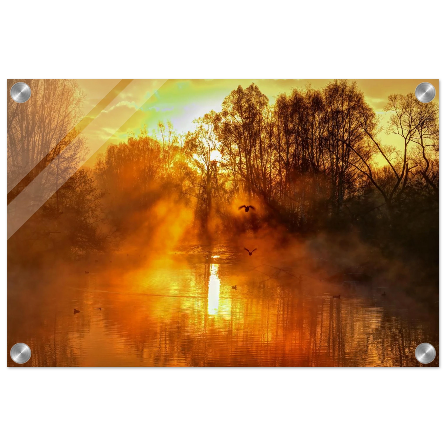Wandbild Goldene morgenroete wandbild nebelwald poster in 25 groessenausfuehrungen