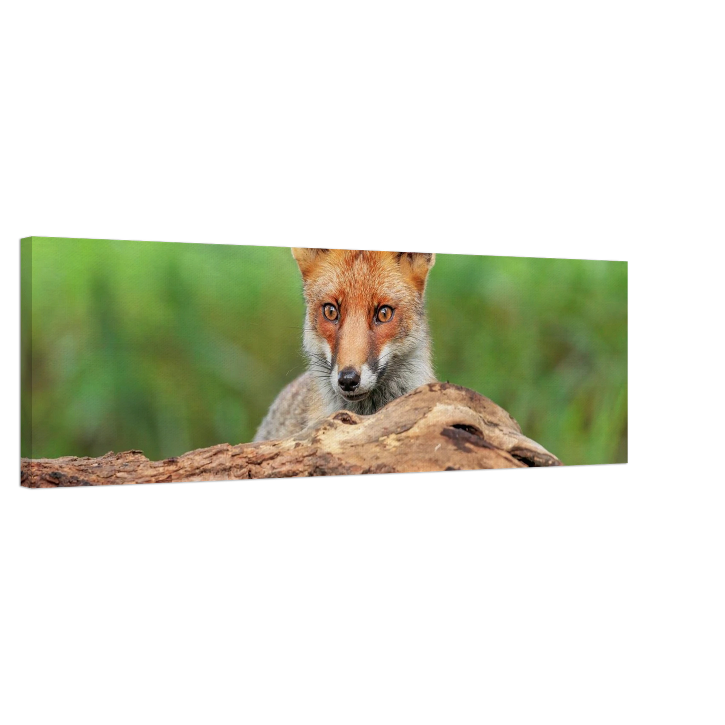 Wandbild fuchs im versteck einzigartige naturkunst fuer ihr zuhause