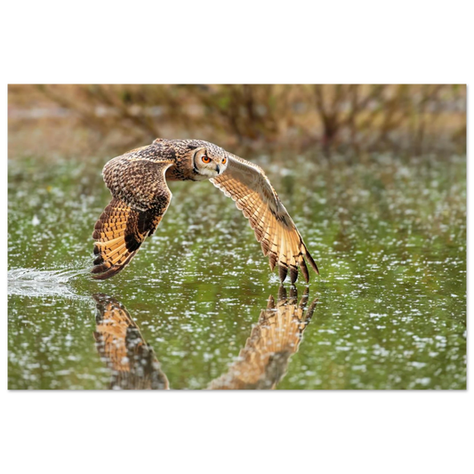 Wandbild majestaetische eule im flug naturfotografie mit lebendigen orangetoenen in ihrer wunschgroesse