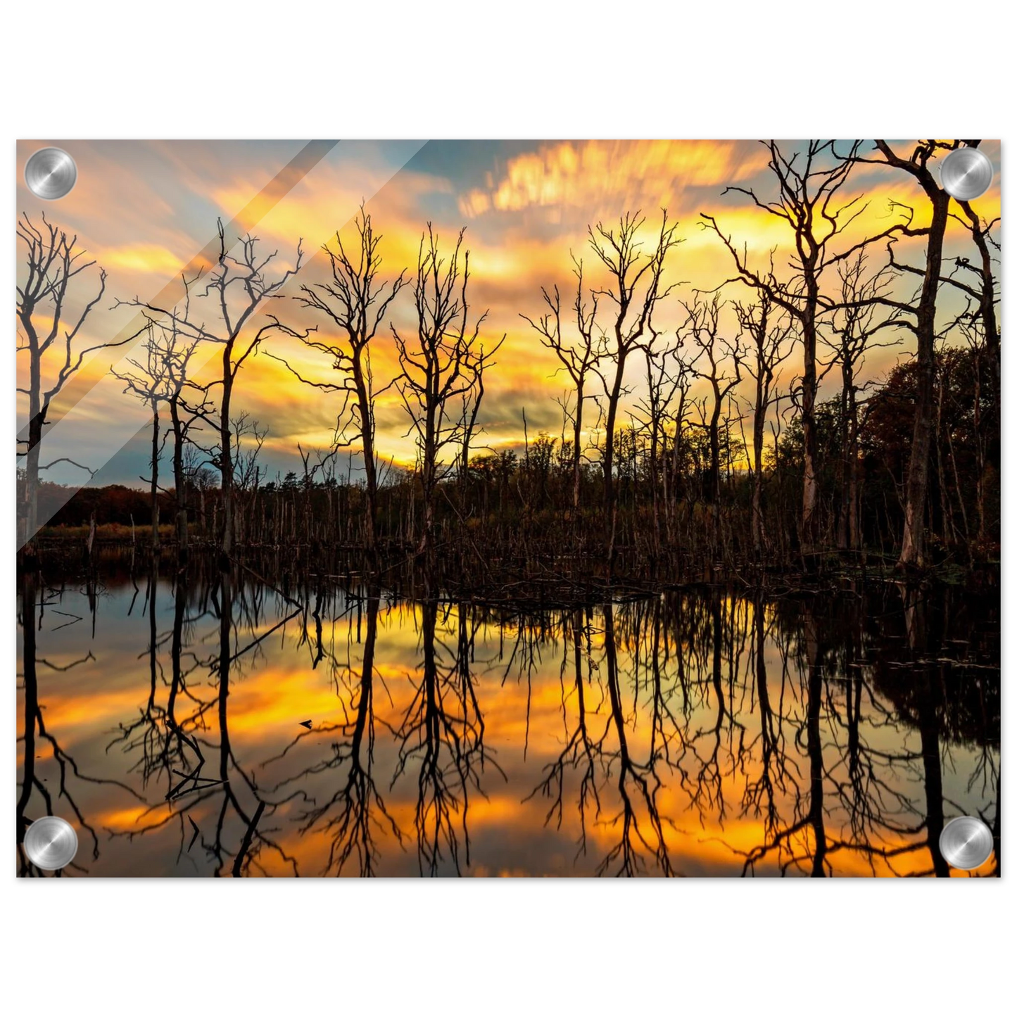 Wandbild mystischer sonnenuntergang ueber dem baumsee lebendige kunstdrucke in vielen groessen
