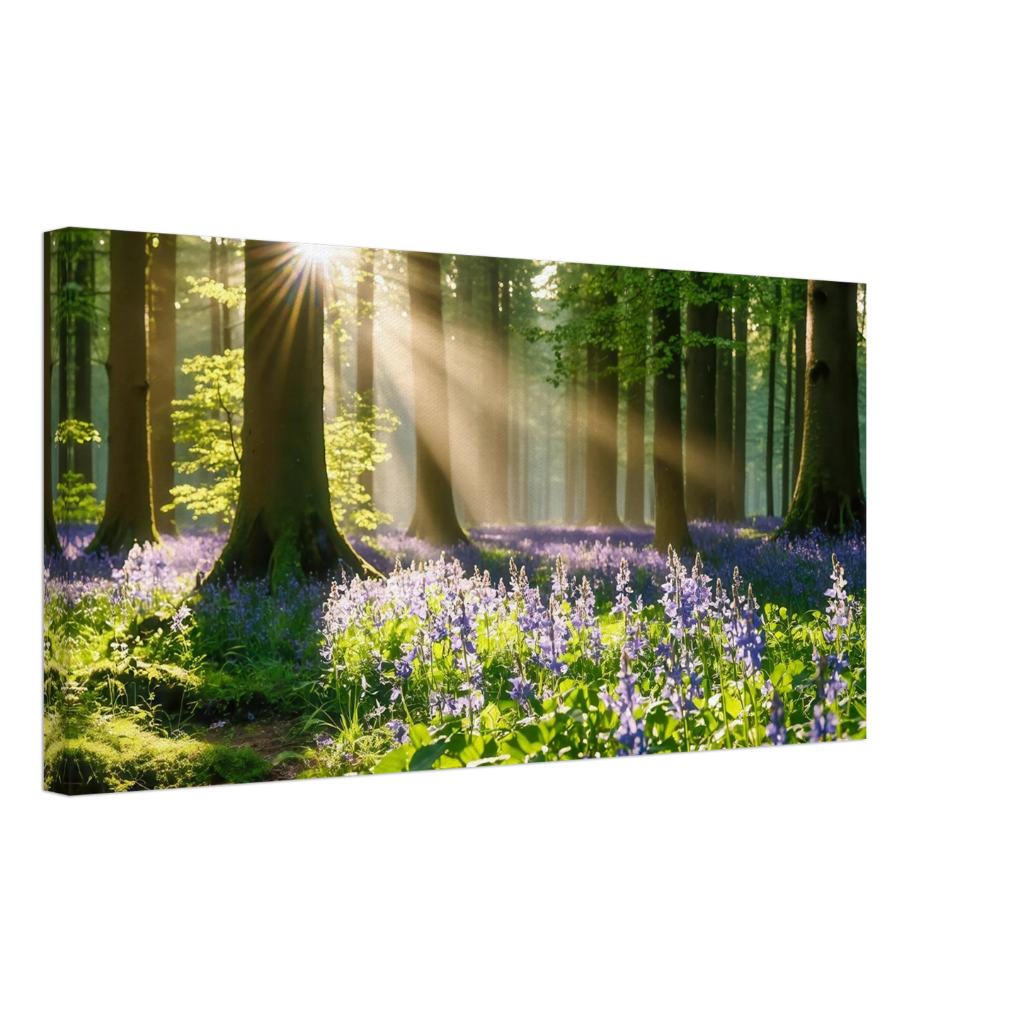 Wandbild mystischer morgenwald mit sonnenstrahlen und lila blueten in vielen groessen