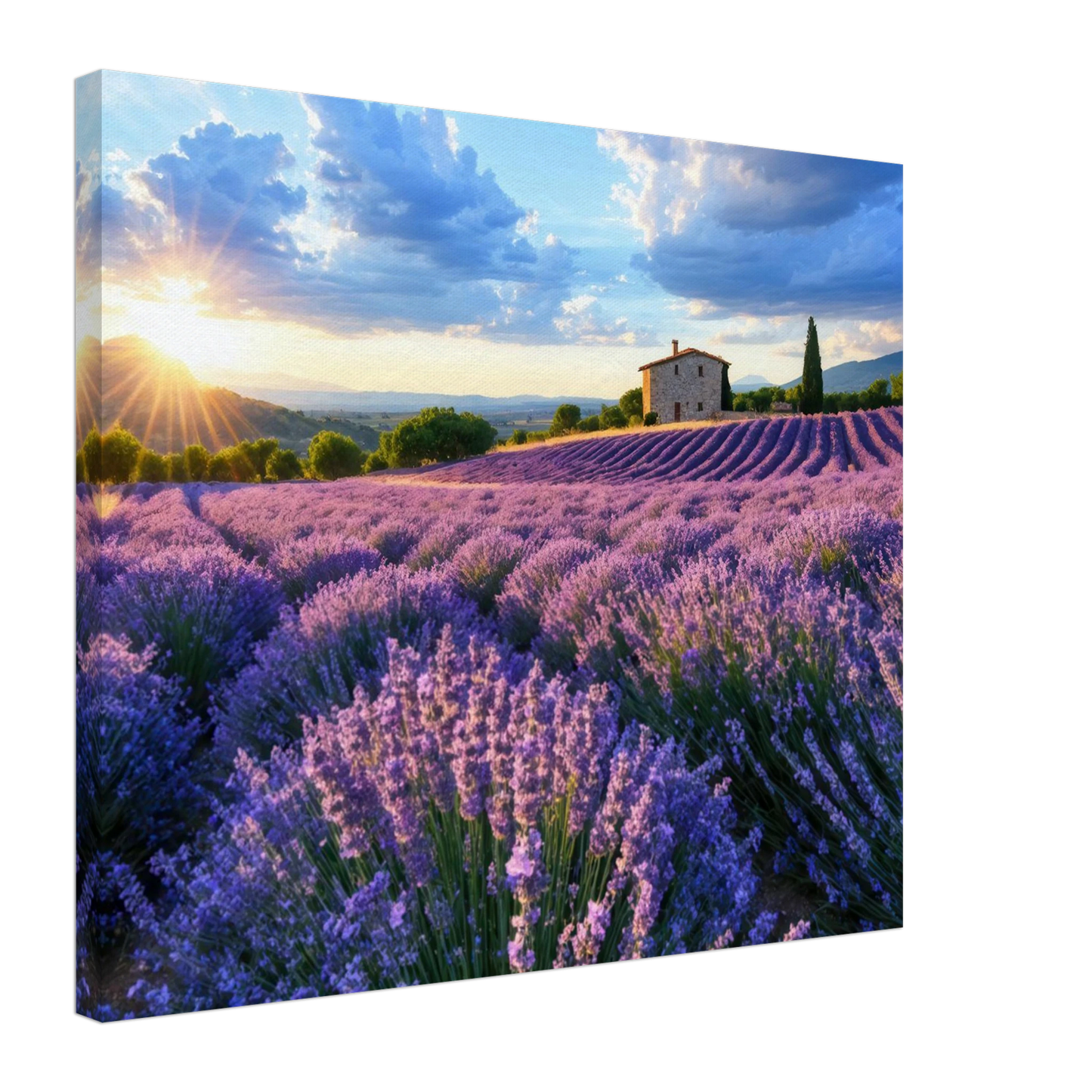 Wandbild sonnenuntergang ueber lavendelfeldern idyllische provence landschaft im wunschformat