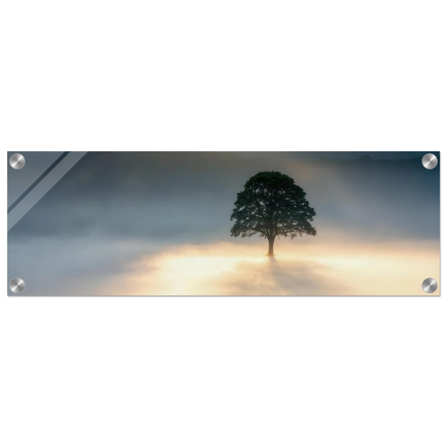 Wandbild mystisches baum wandbild einzelner baum im nebel sonnenaufgang waehlbar in verschiedenen groessen